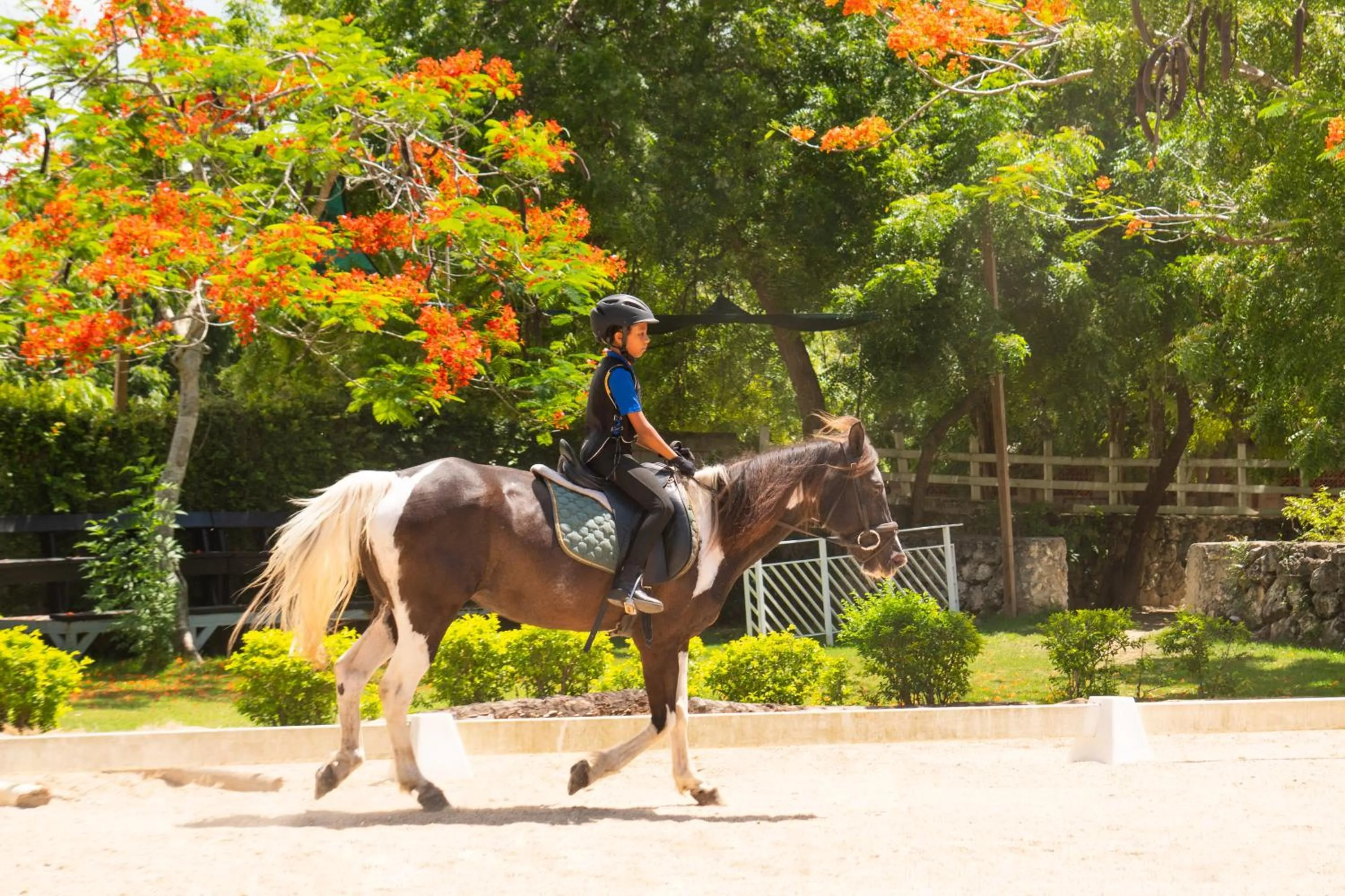 Horse-riding in Hotel Casa Hemingway