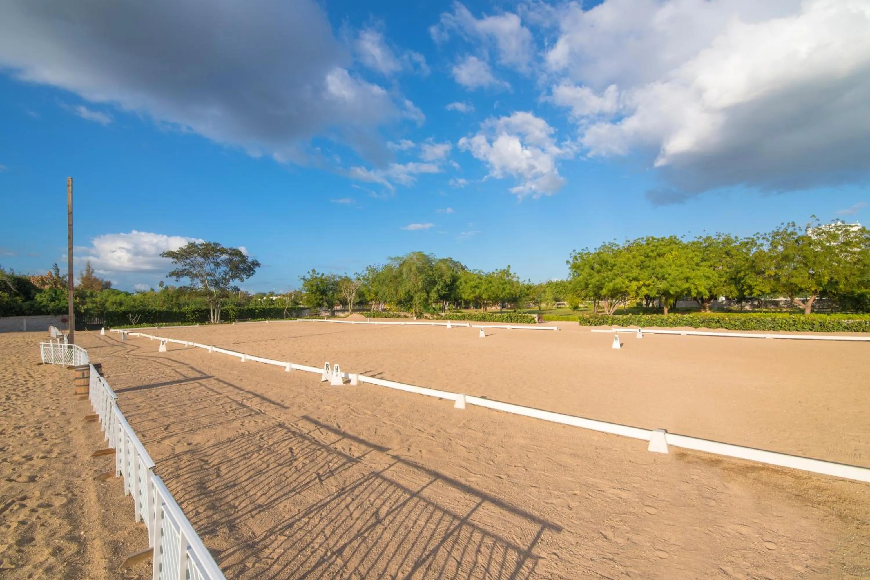 Horse-riding in Hotel Casa Hemingway