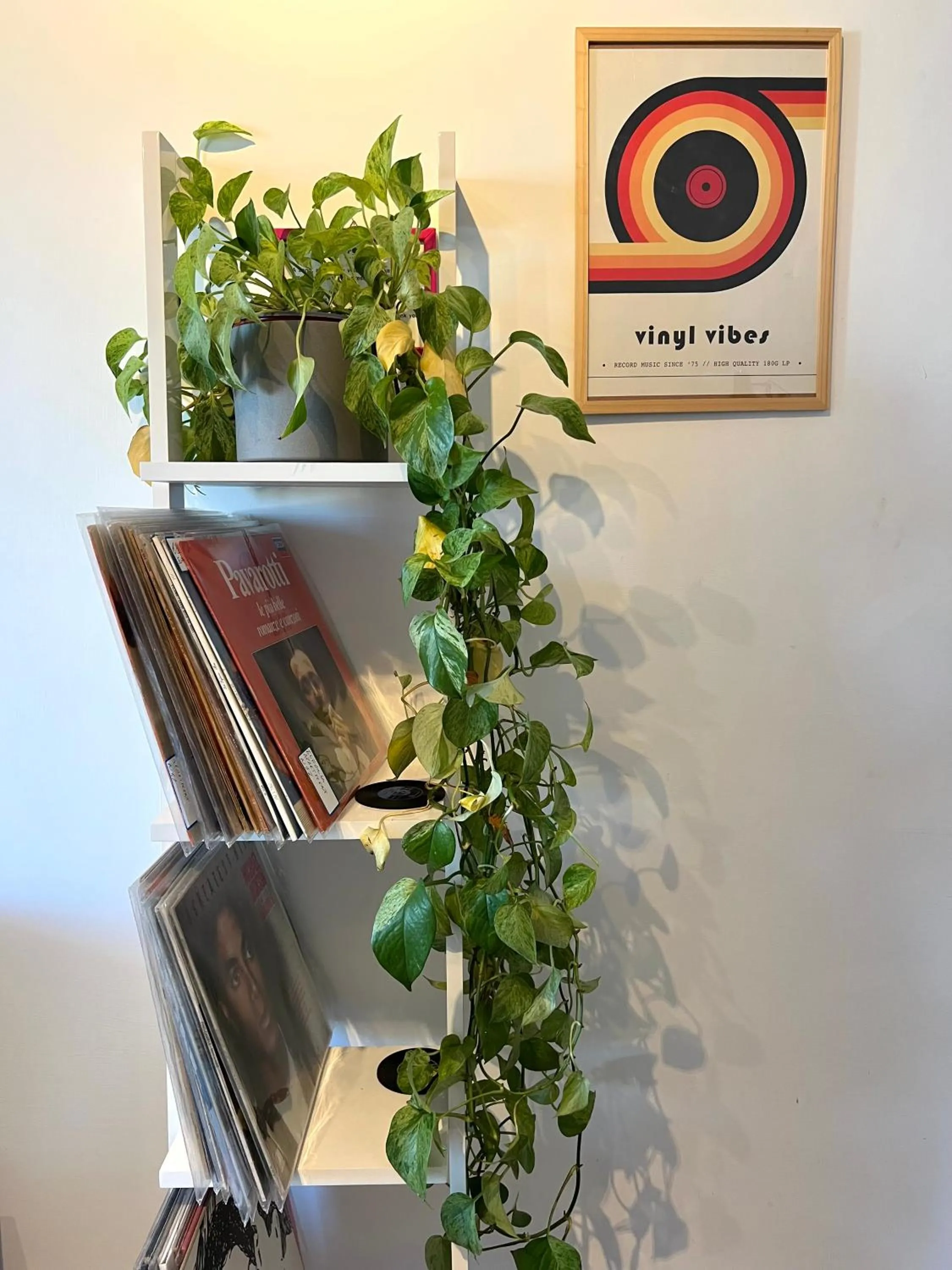 Decorative detail in Eufonia Vinyl Friendly Apartment