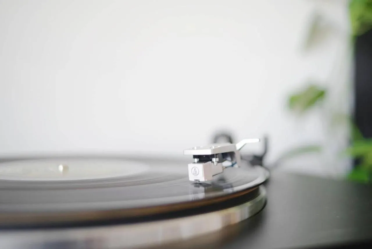 Decorative detail in Eufonia Vinyl Friendly Apartment