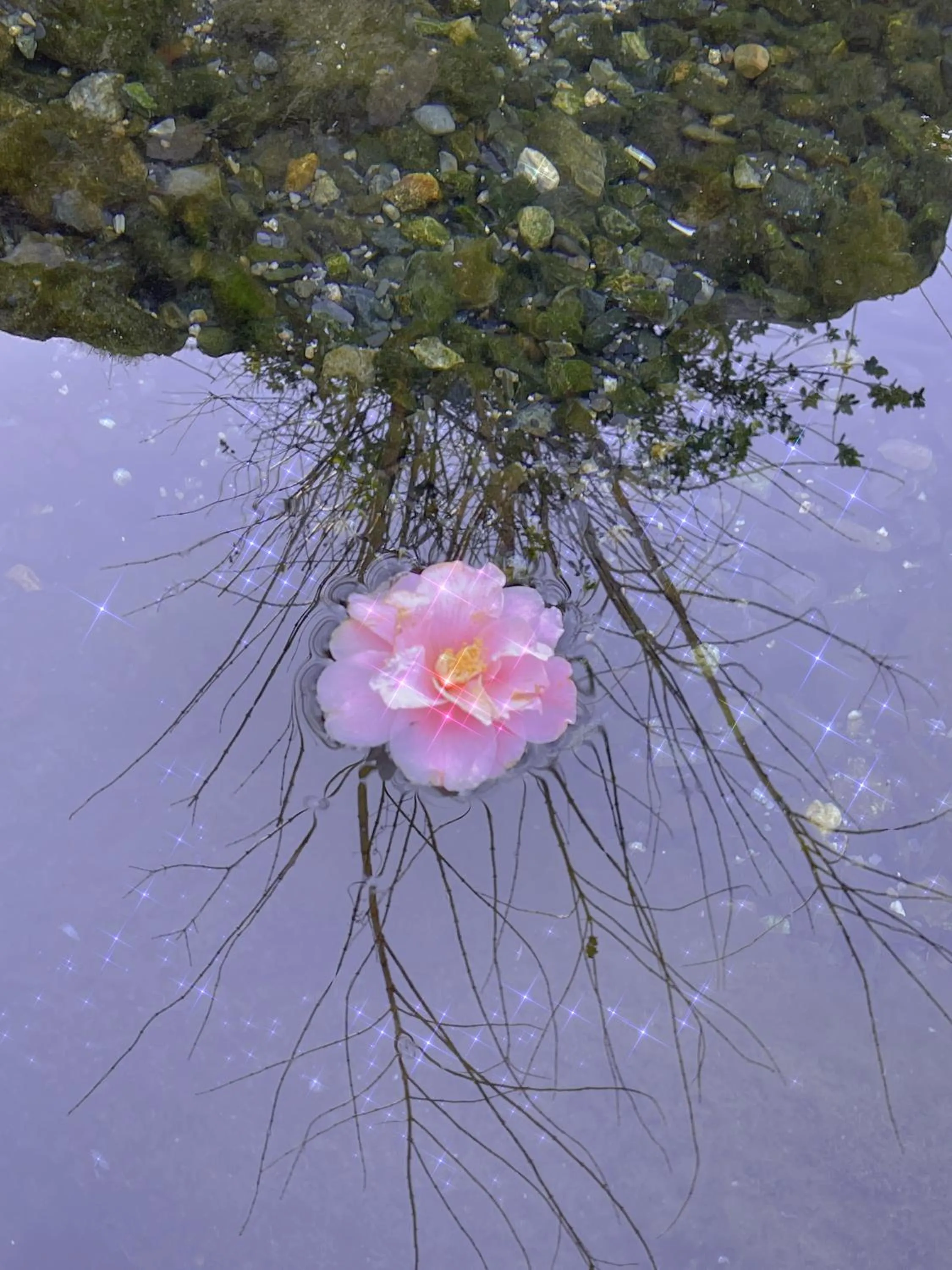 Shiga Biwa Lake Shanshui House