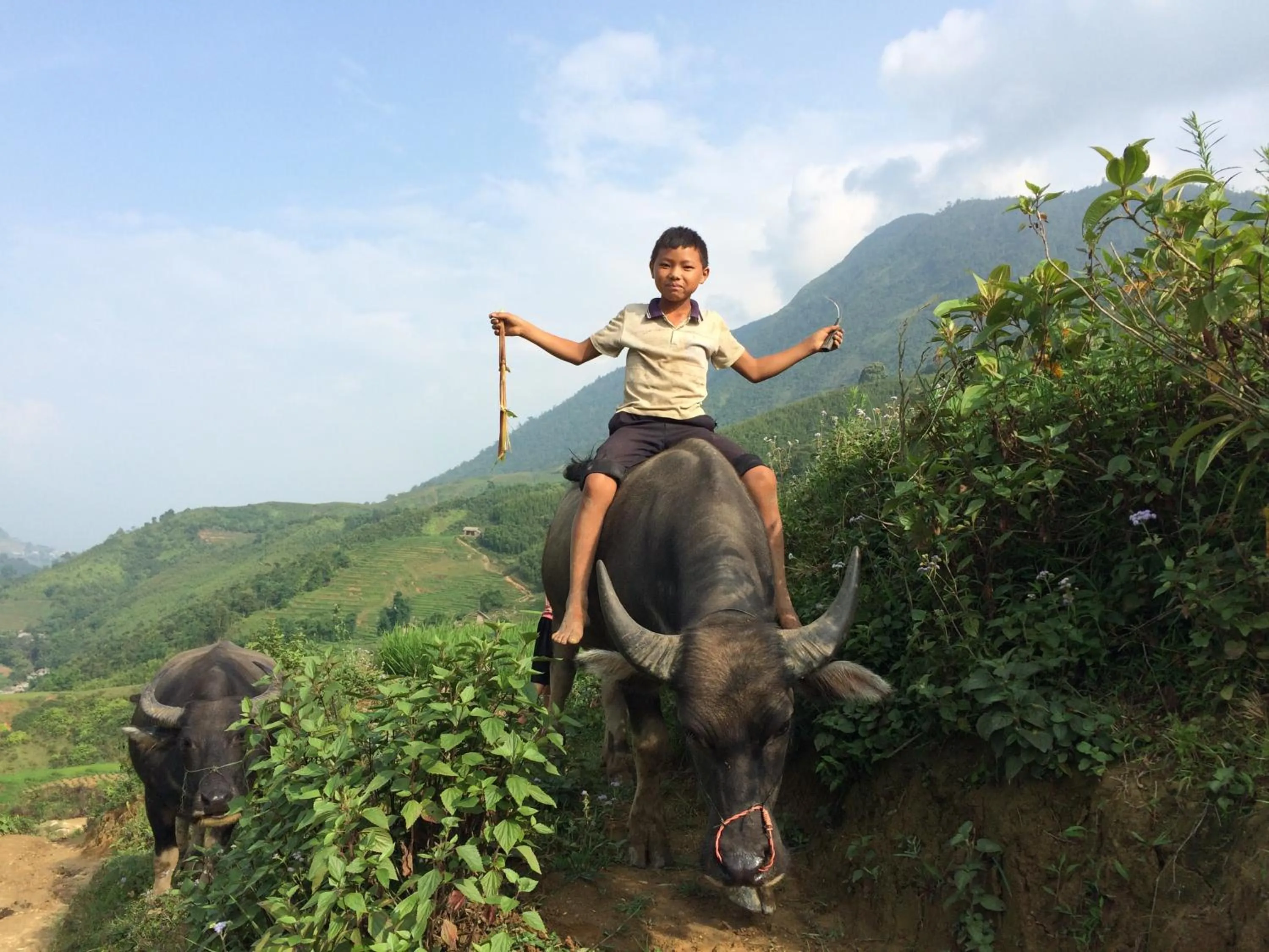 Natural landscape in Sapa Hills Hotel
