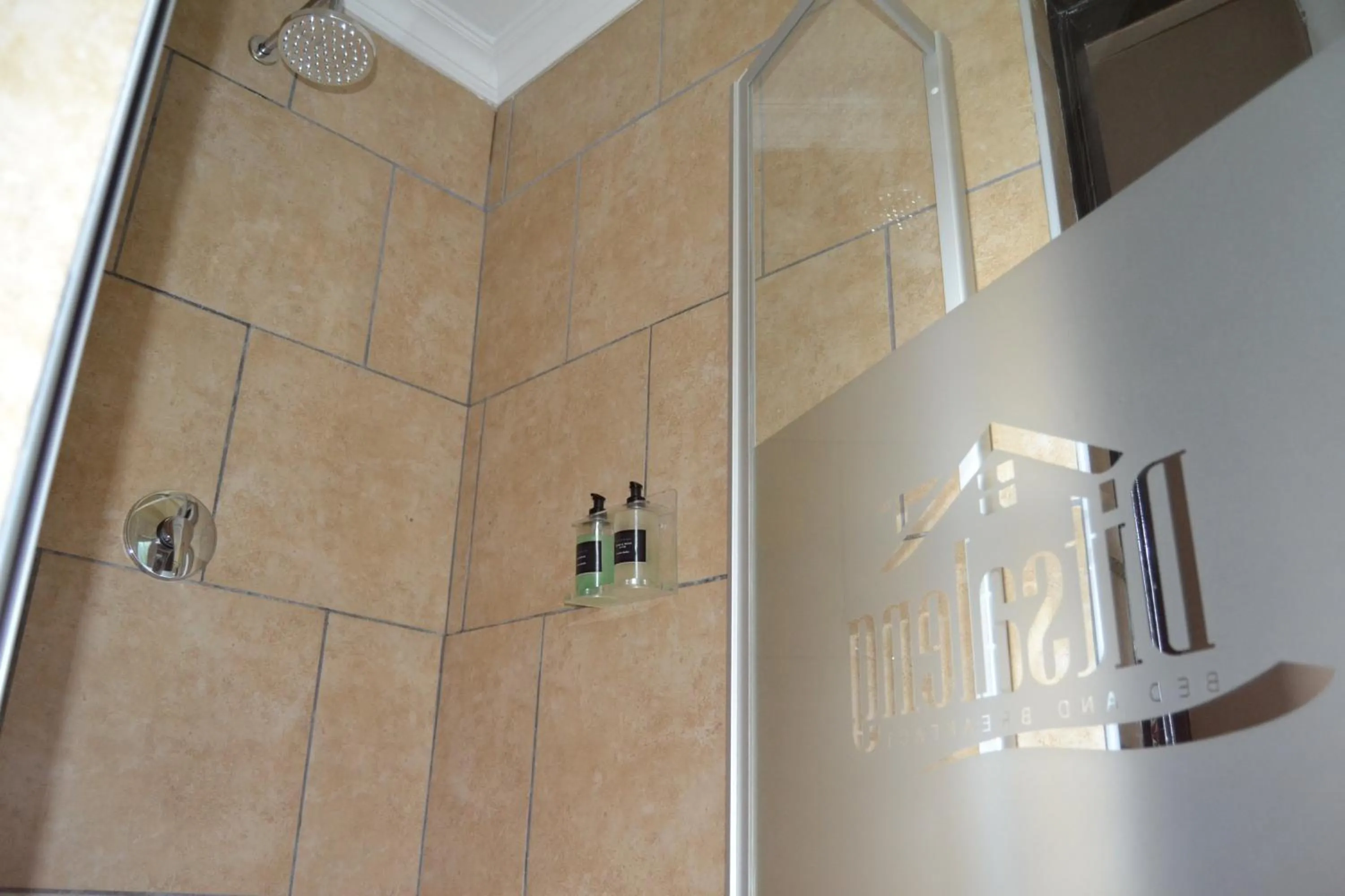 Shower in Ditsaleng Bed and Breakfast