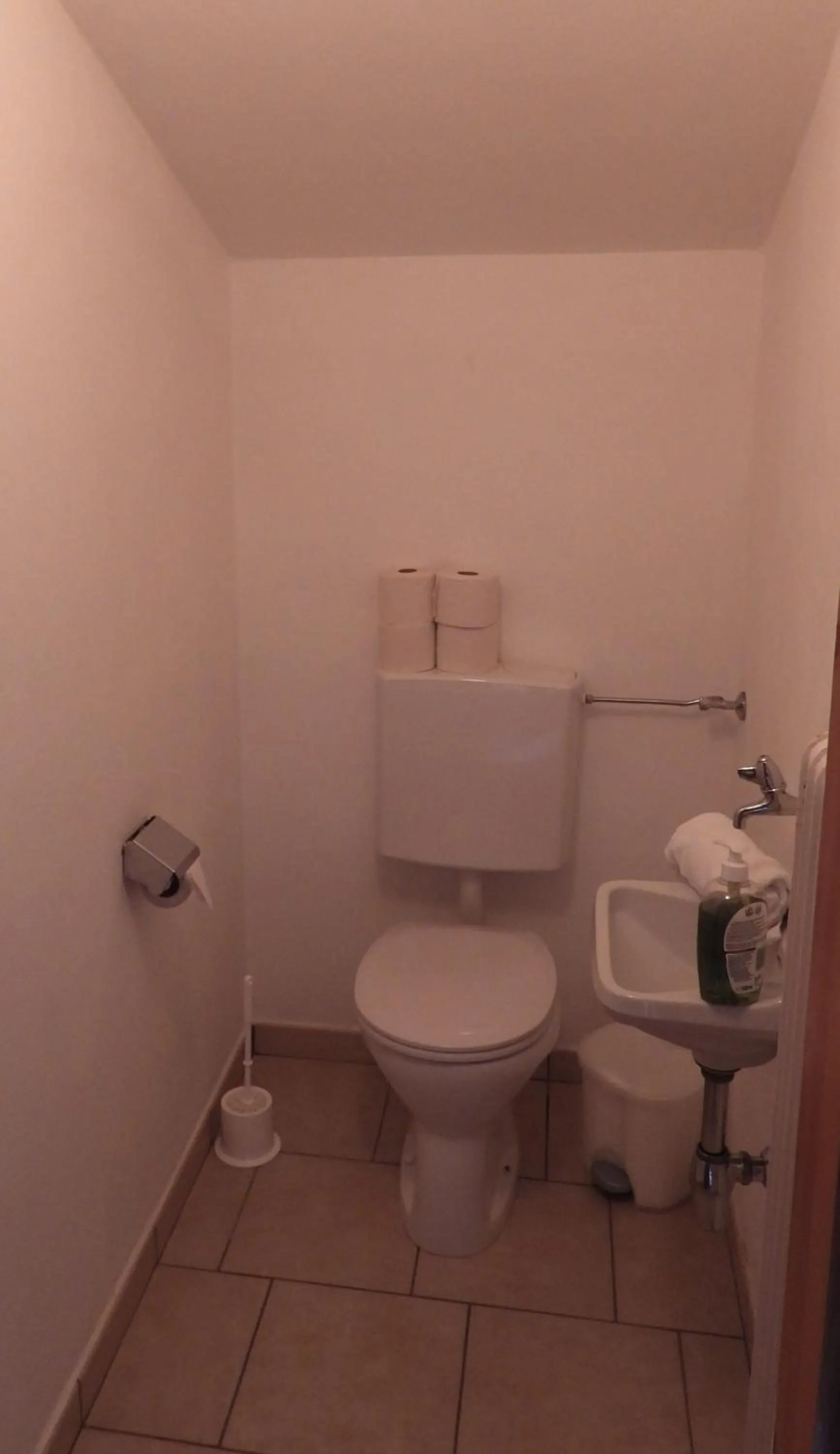 Toilet in Ferienhaus Oberlengau