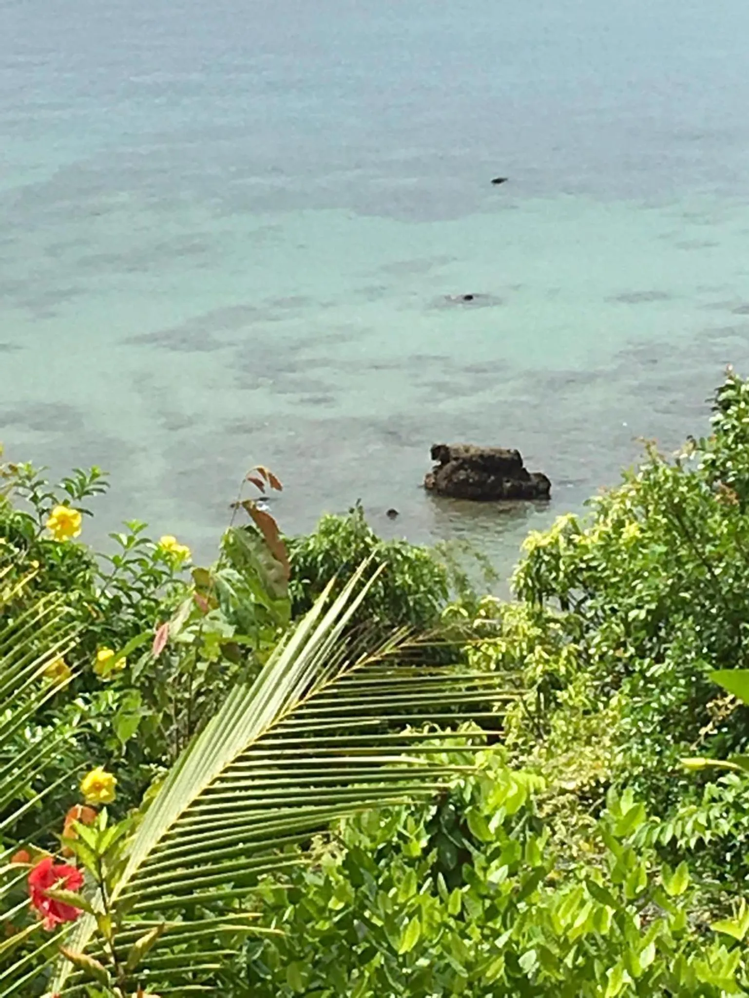 Natural landscape in Oon Lee Bungalows