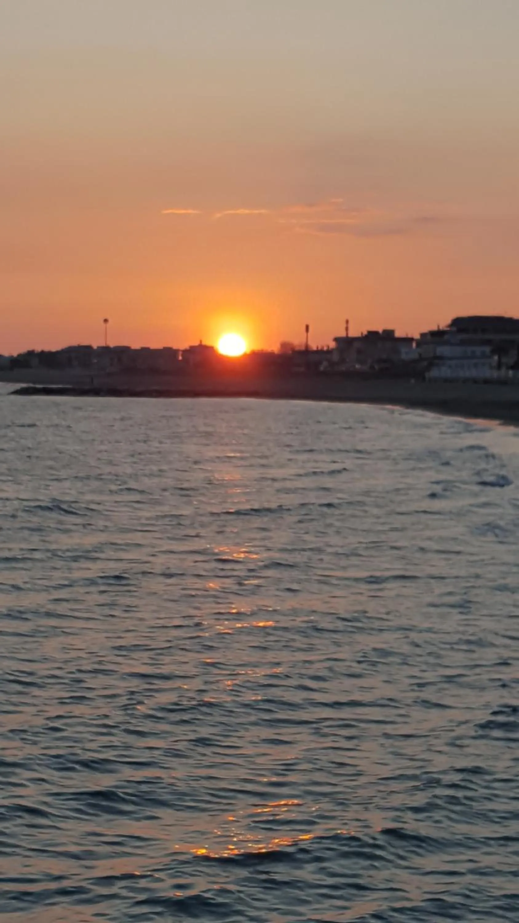 Logo/Certificate/Sign in Casina Carina Carina
