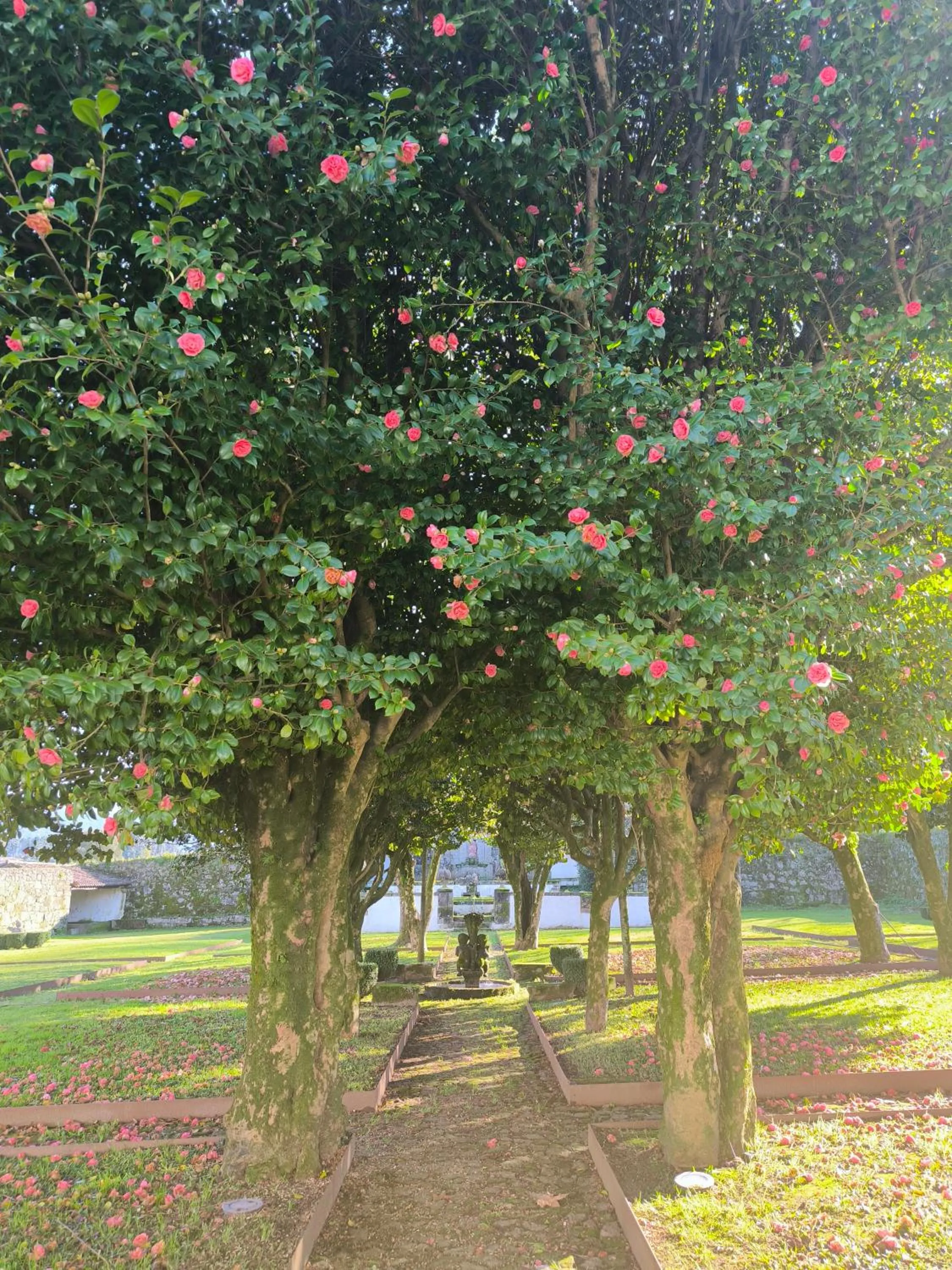 Natural landscape in Hotel Paço de Vitorino