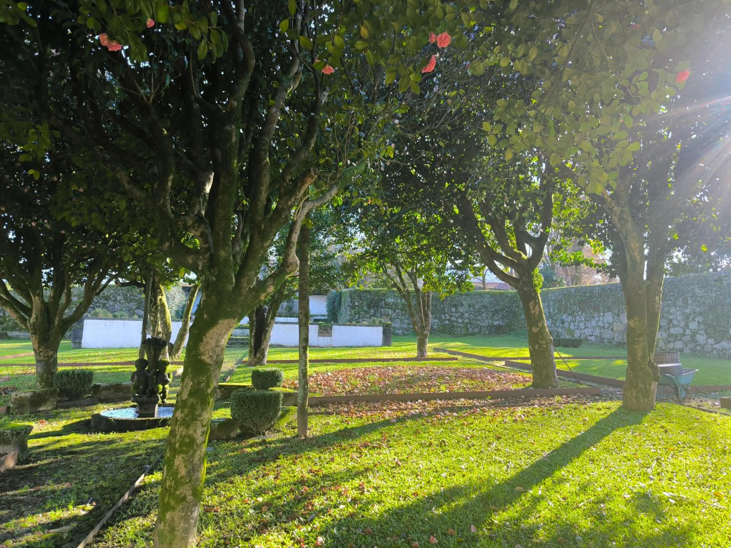 Natural landscape in Hotel Paço de Vitorino