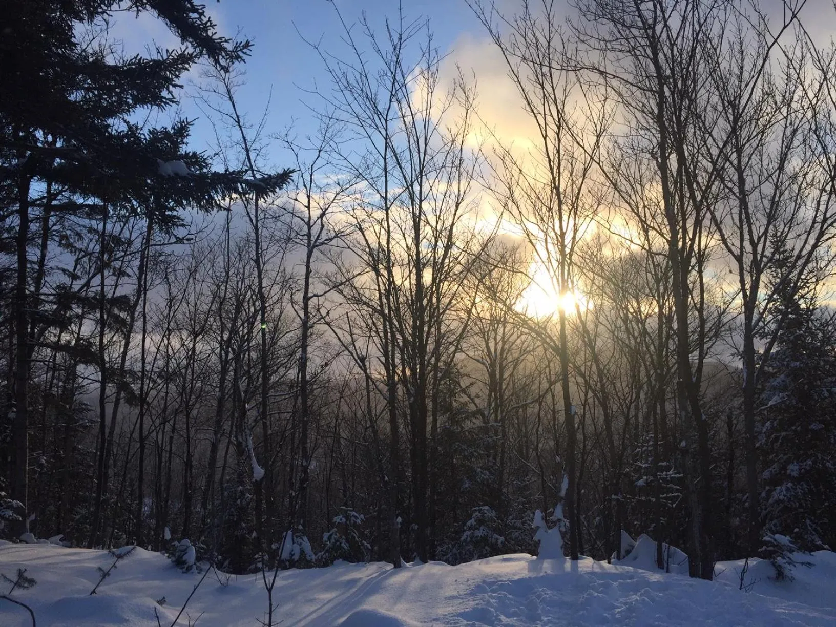 Natural landscape in Loft Nature Laurentides