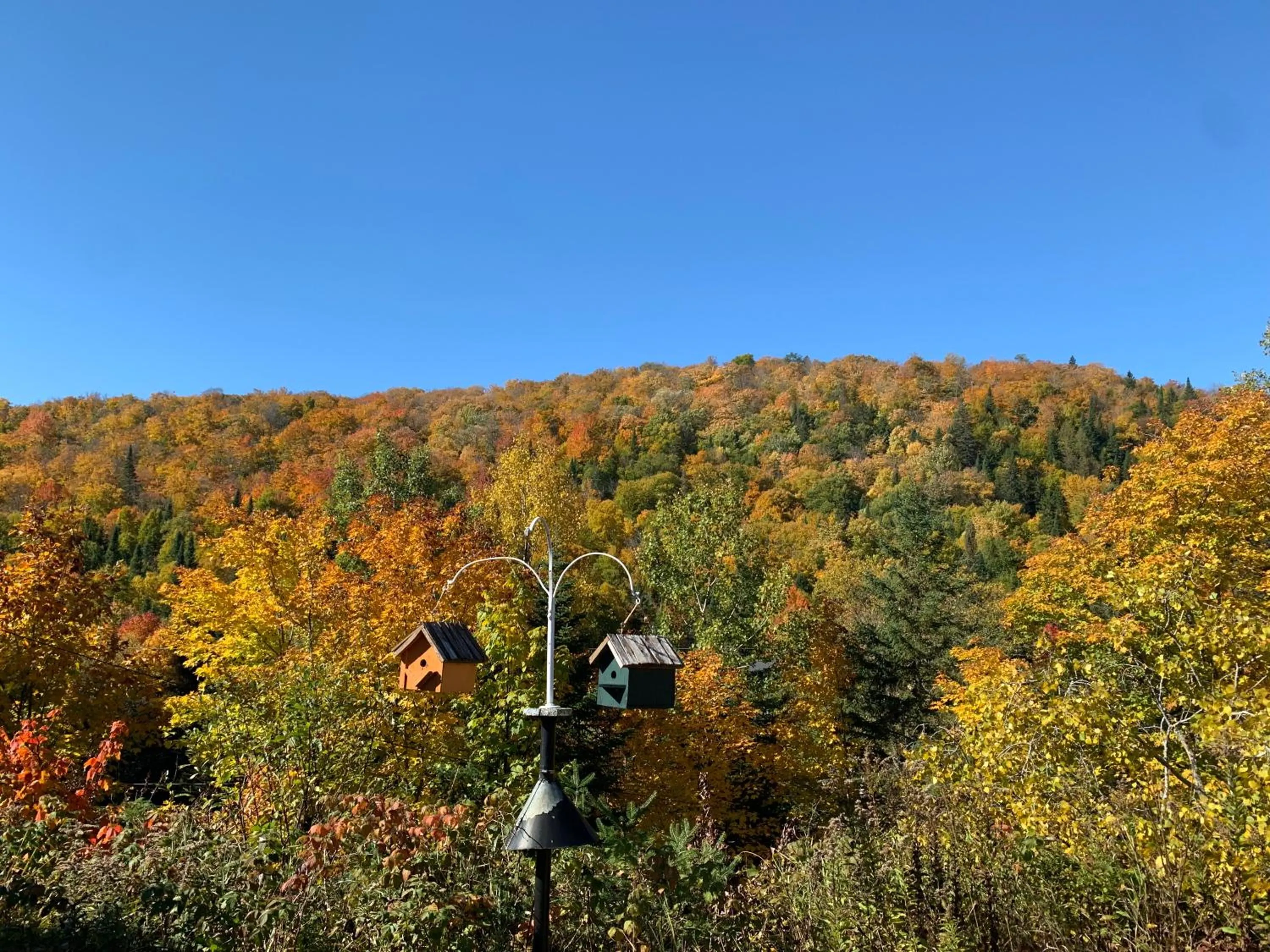 Mountain view in Loft Nature Laurentides