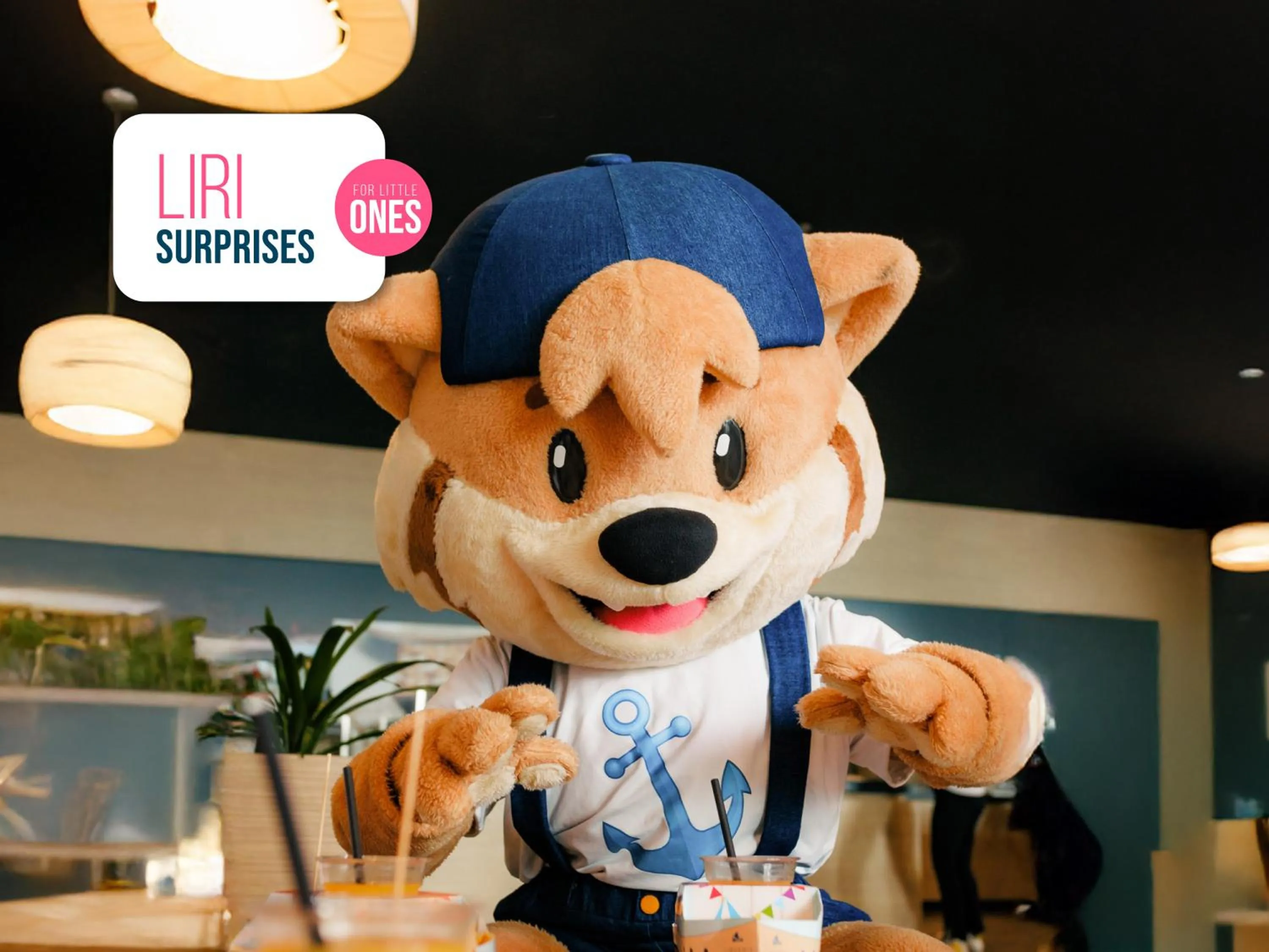 Activities in Hotel Excelsior - Liburnia