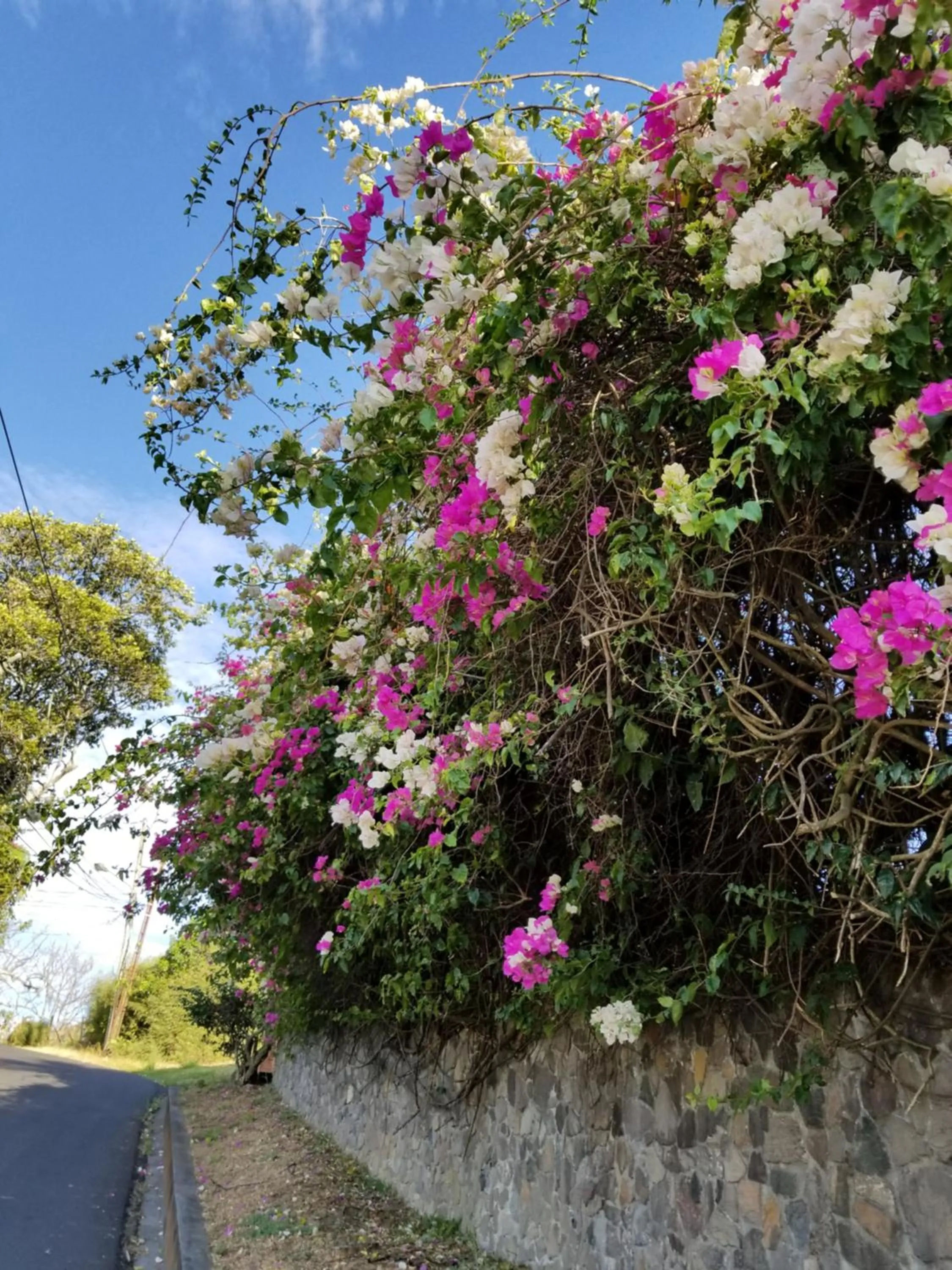 Property building in Hotel Monte Campana Escazu