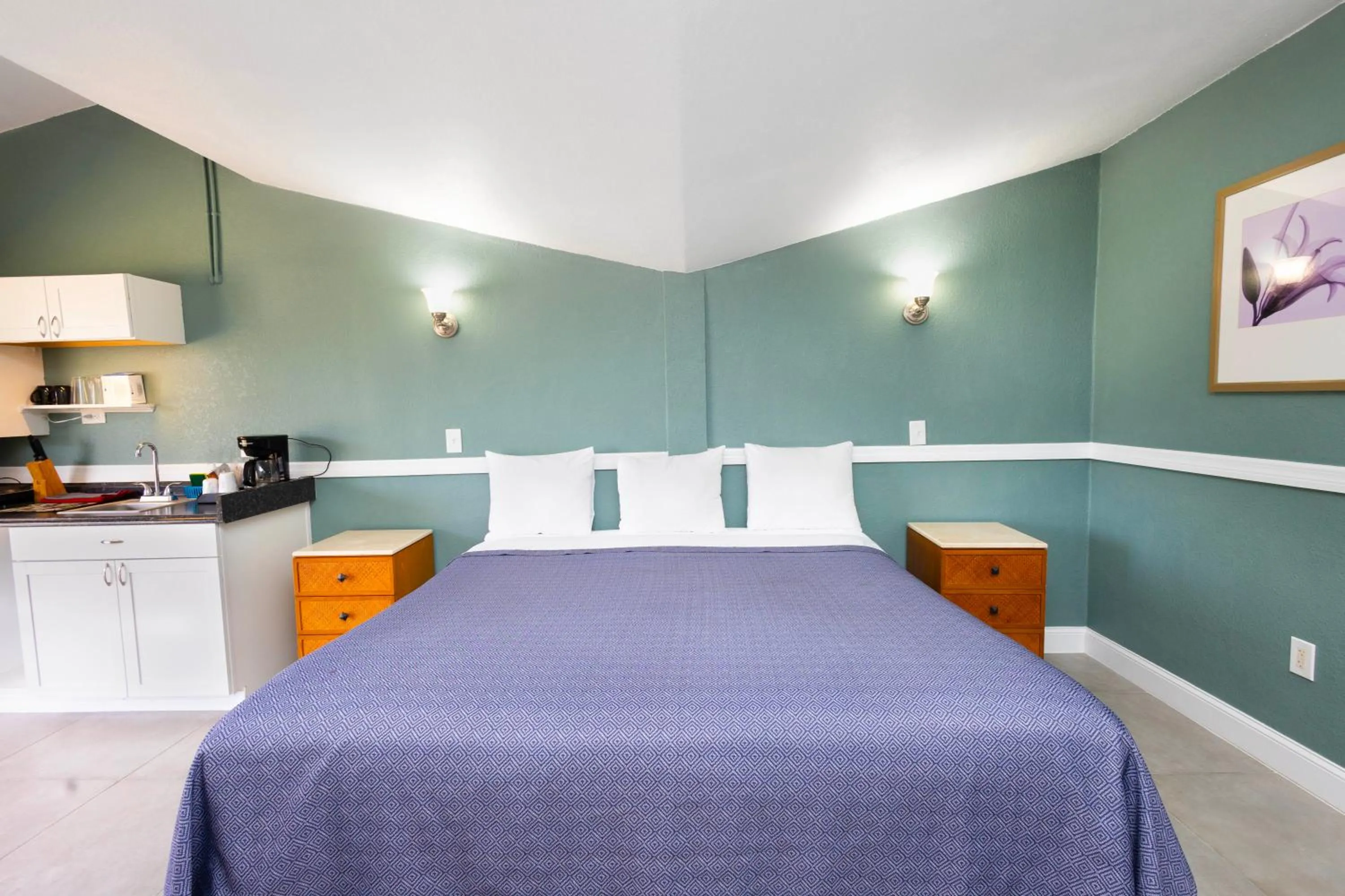 Bed in Warm Mineral Springs Motel