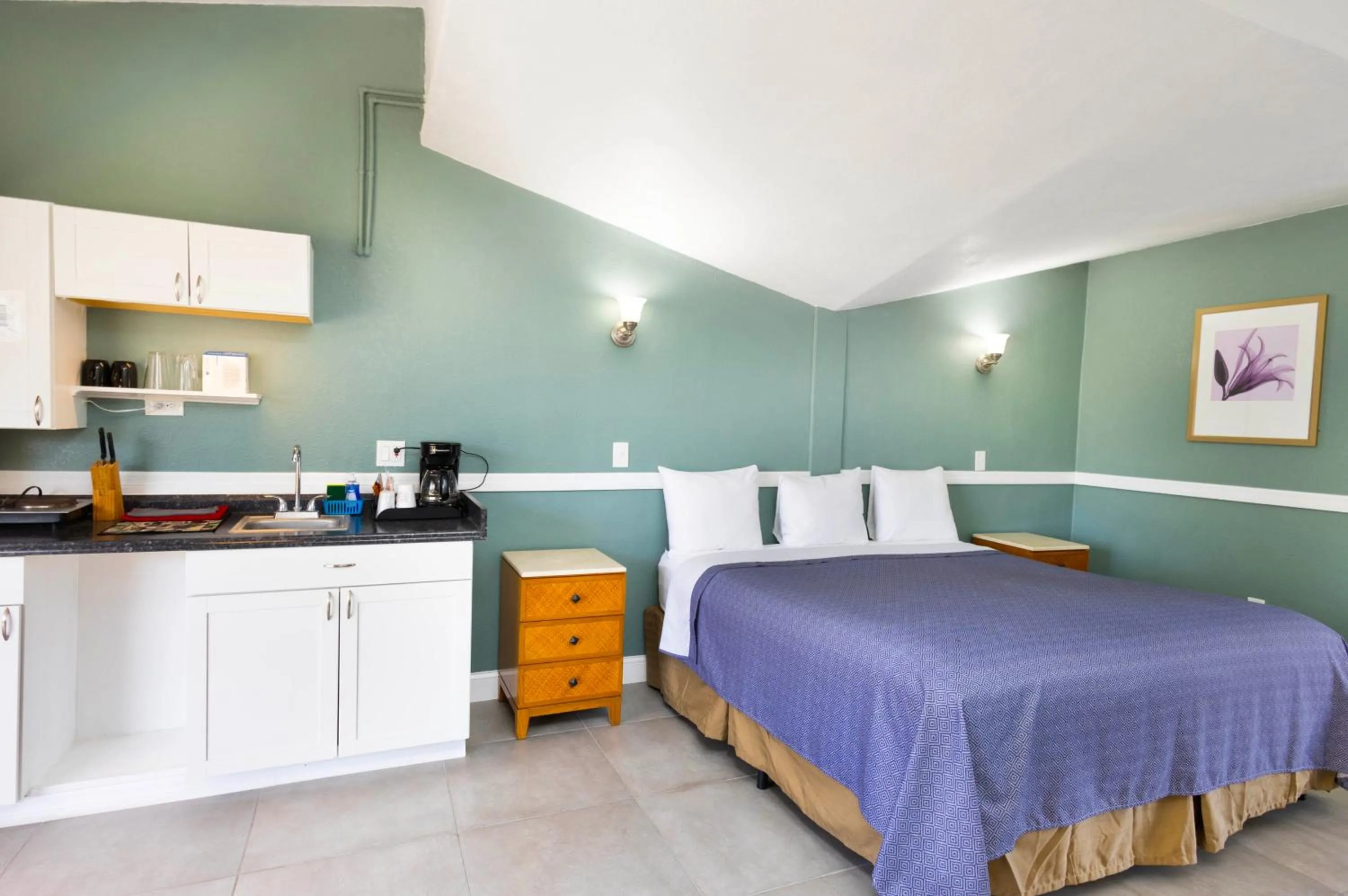 Bed in Warm Mineral Springs Motel