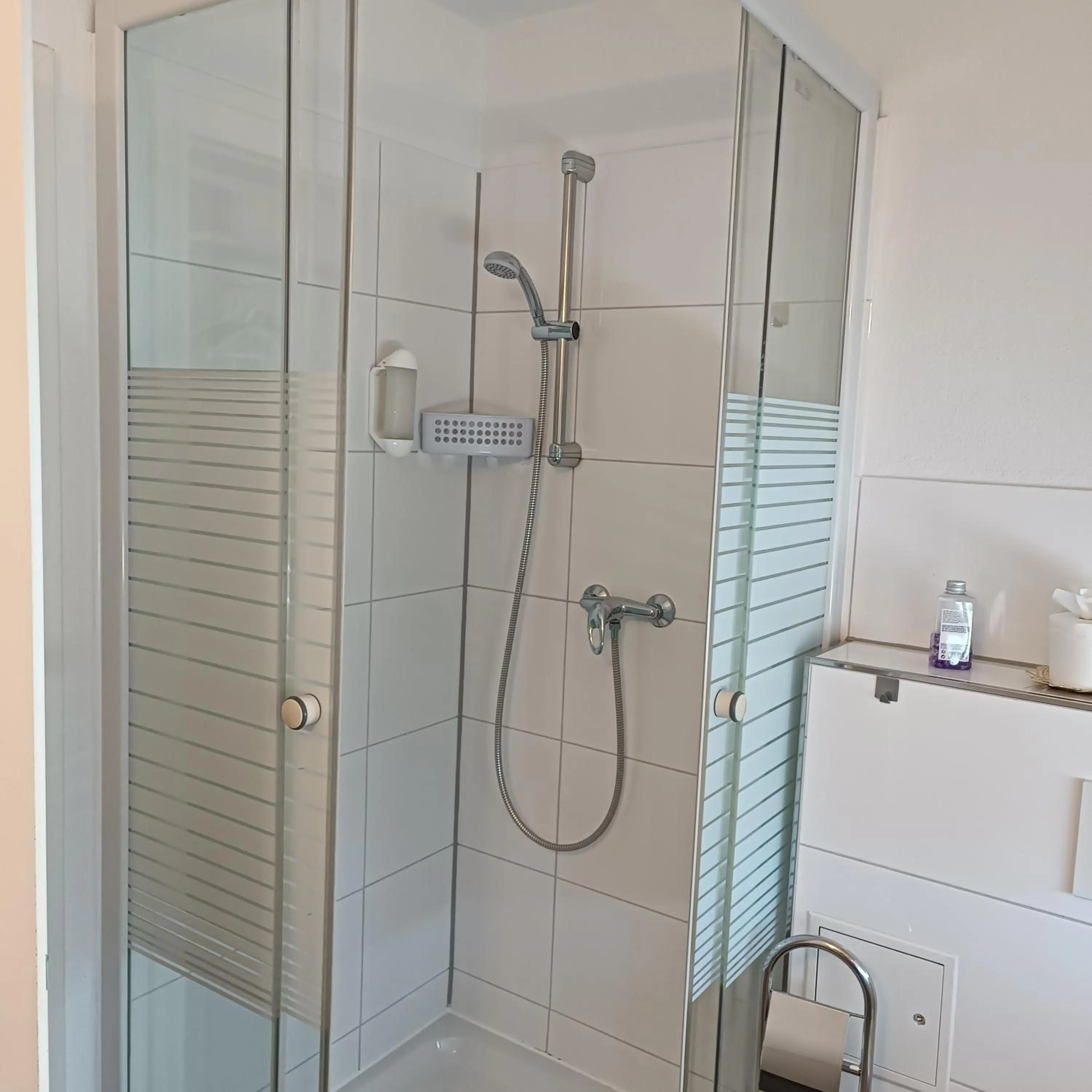 Bathroom in Hotel Ari