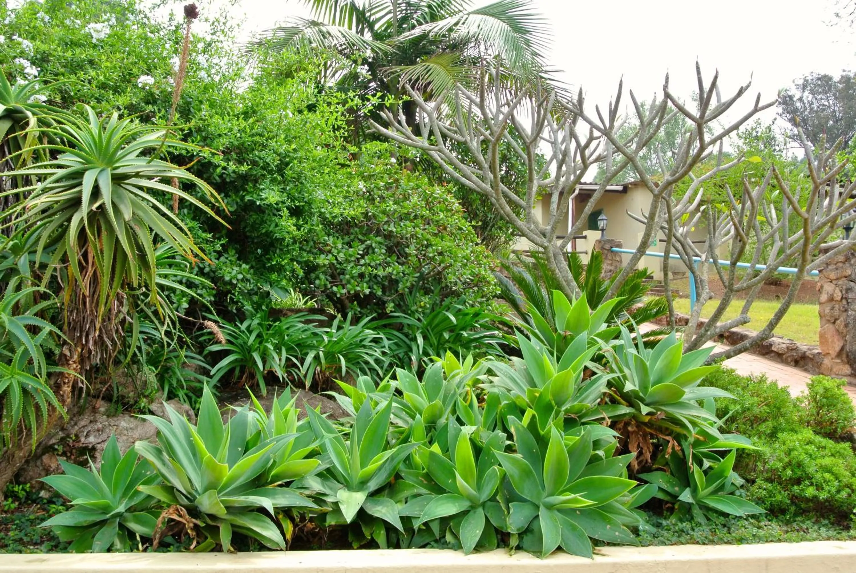 Property building in Emafini Country Lodge