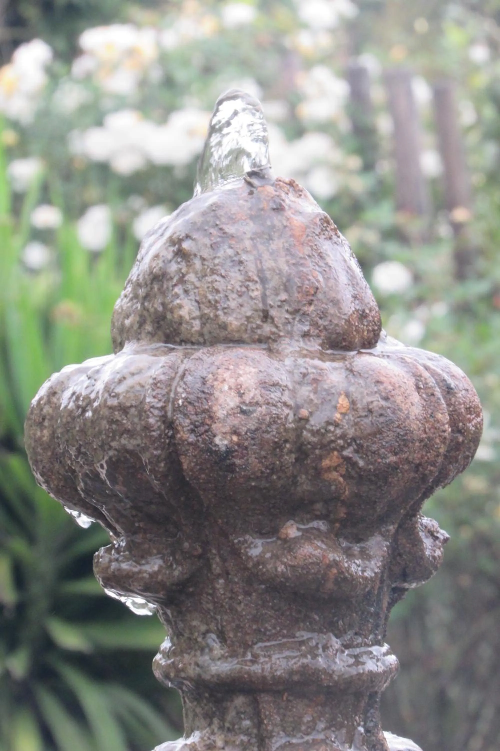 Garden in Emafini Country Lodge
