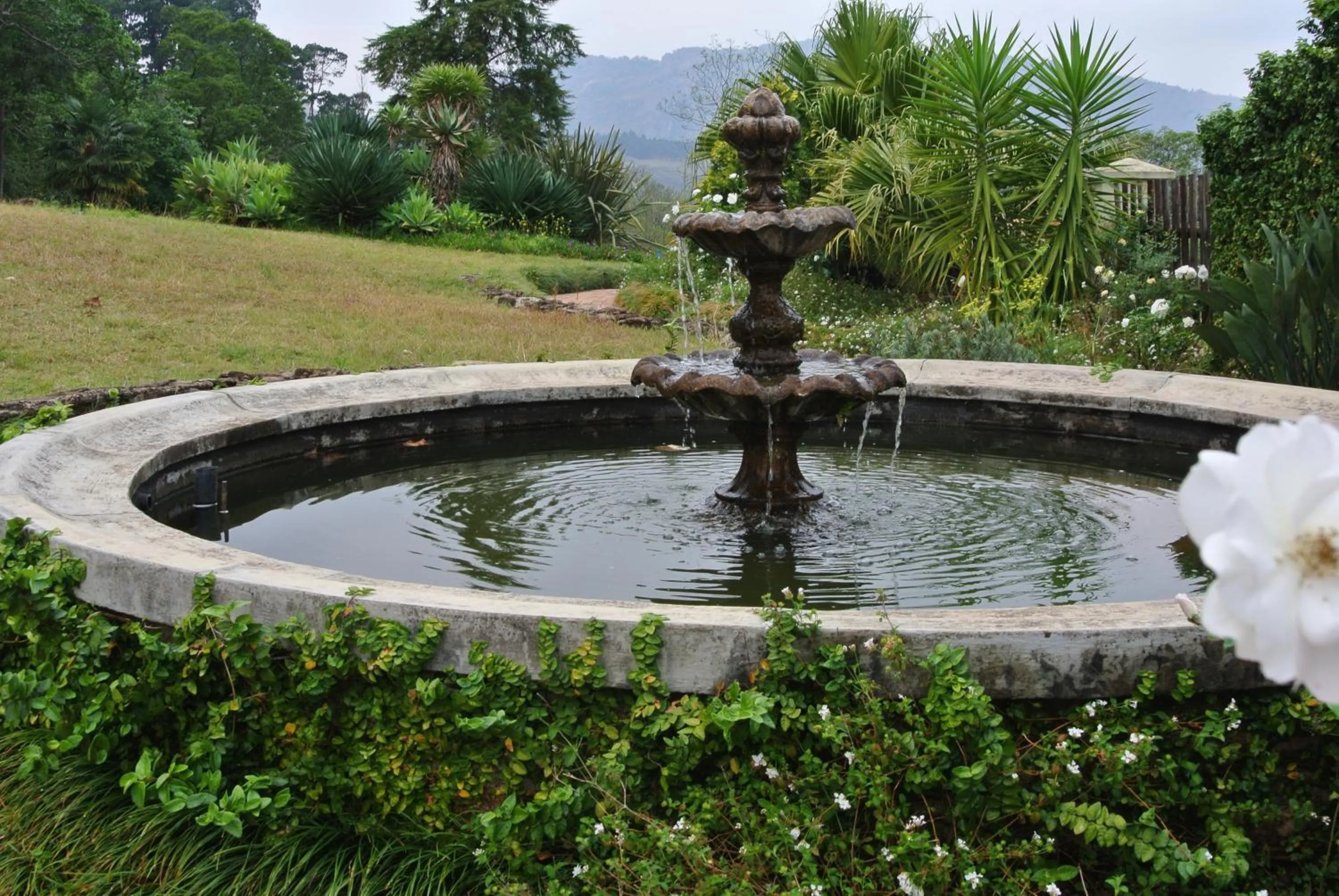 Garden in Emafini Country Lodge