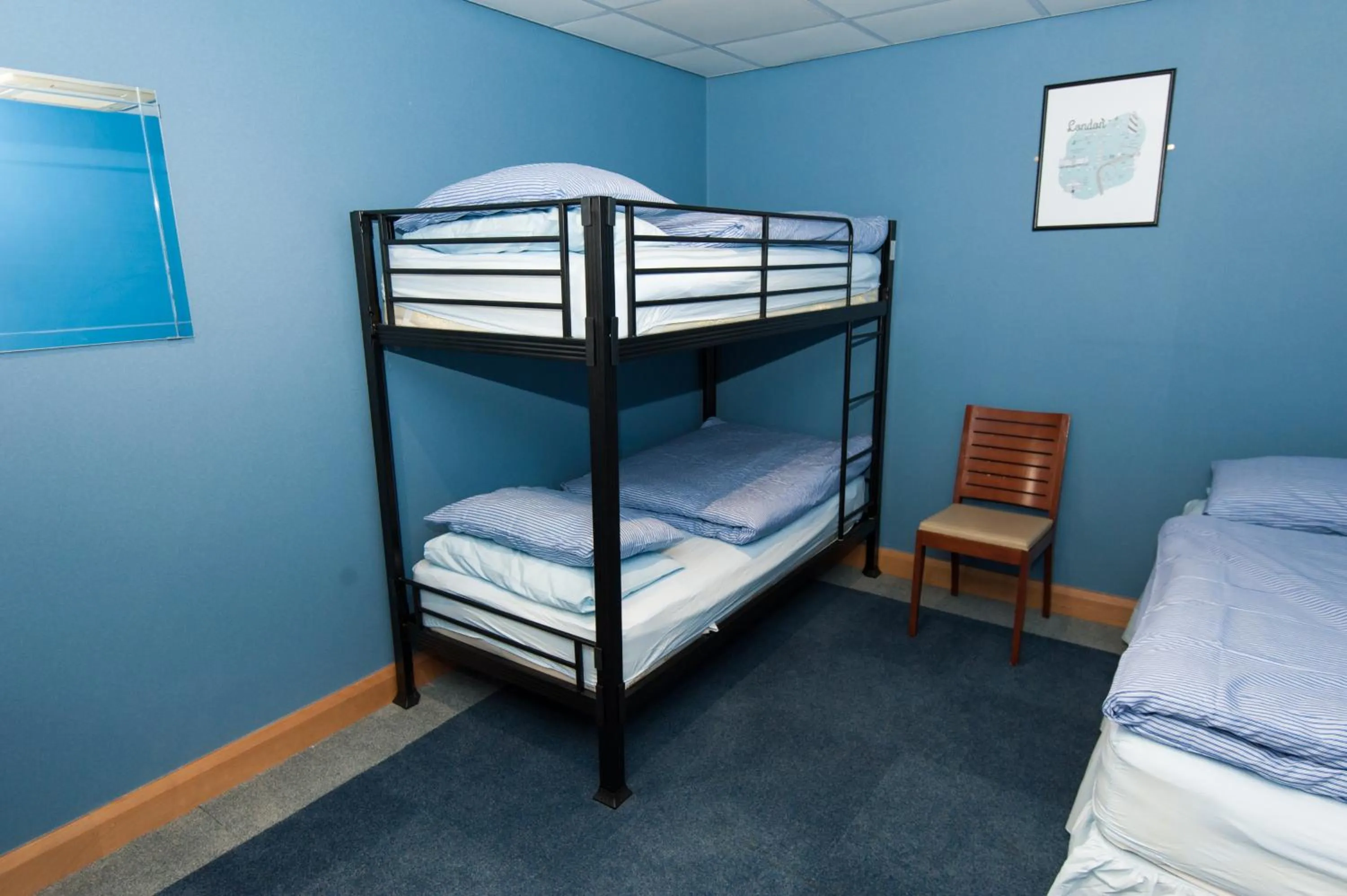 bunk bed in Russell Scott Backpackers Hostel