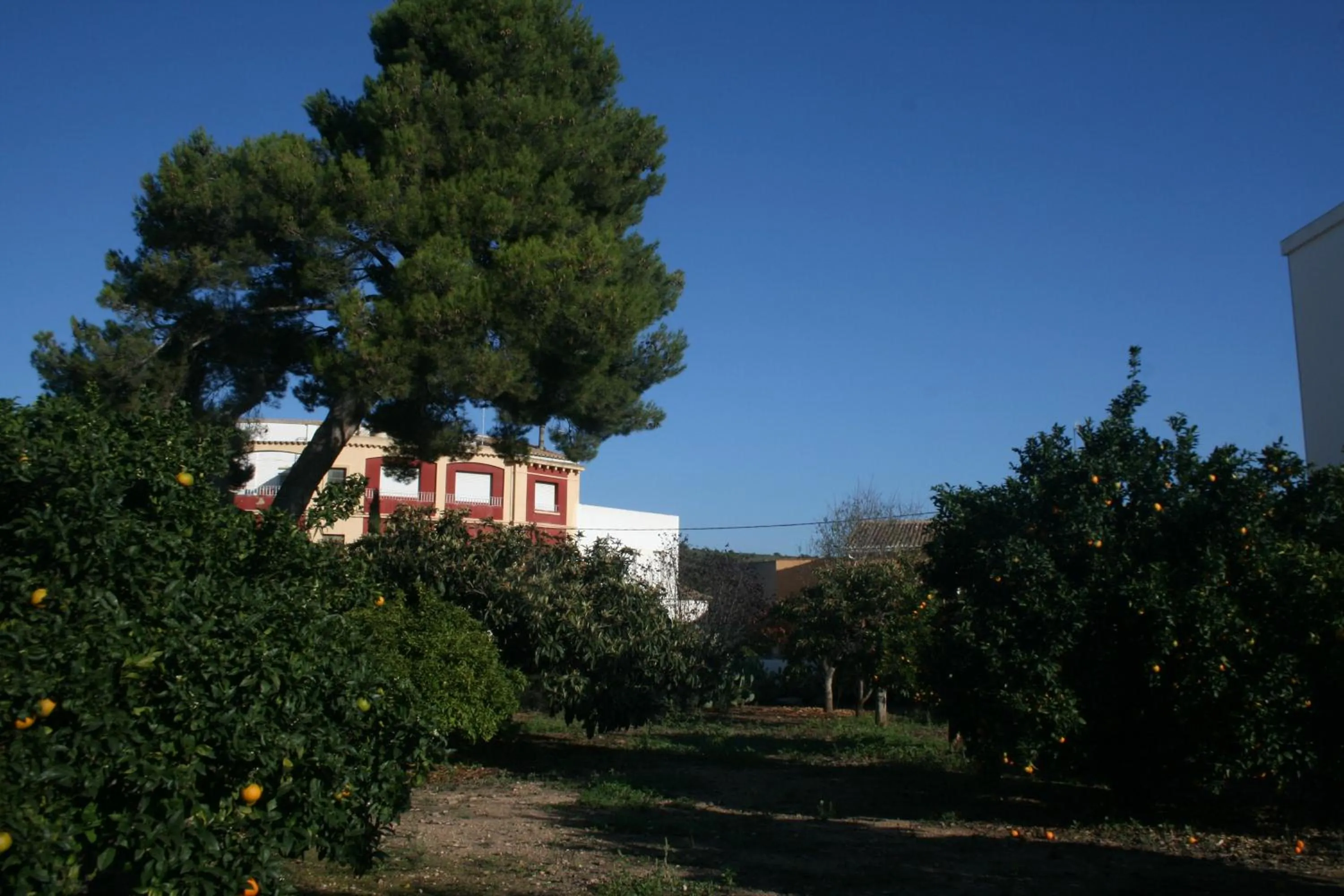 Garden in El Campillo, casa de campo cerca de la playa