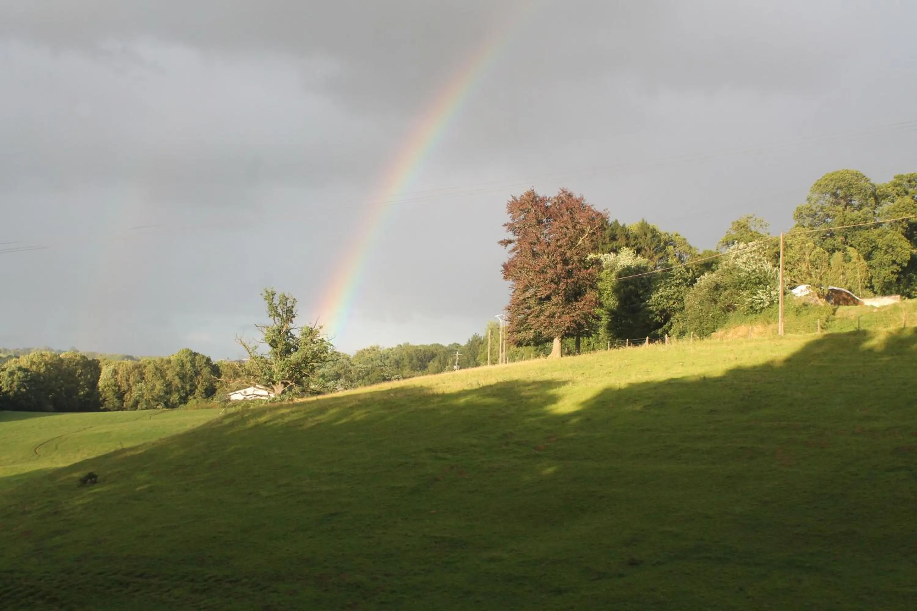 View (from property/room) in La lune en bulles