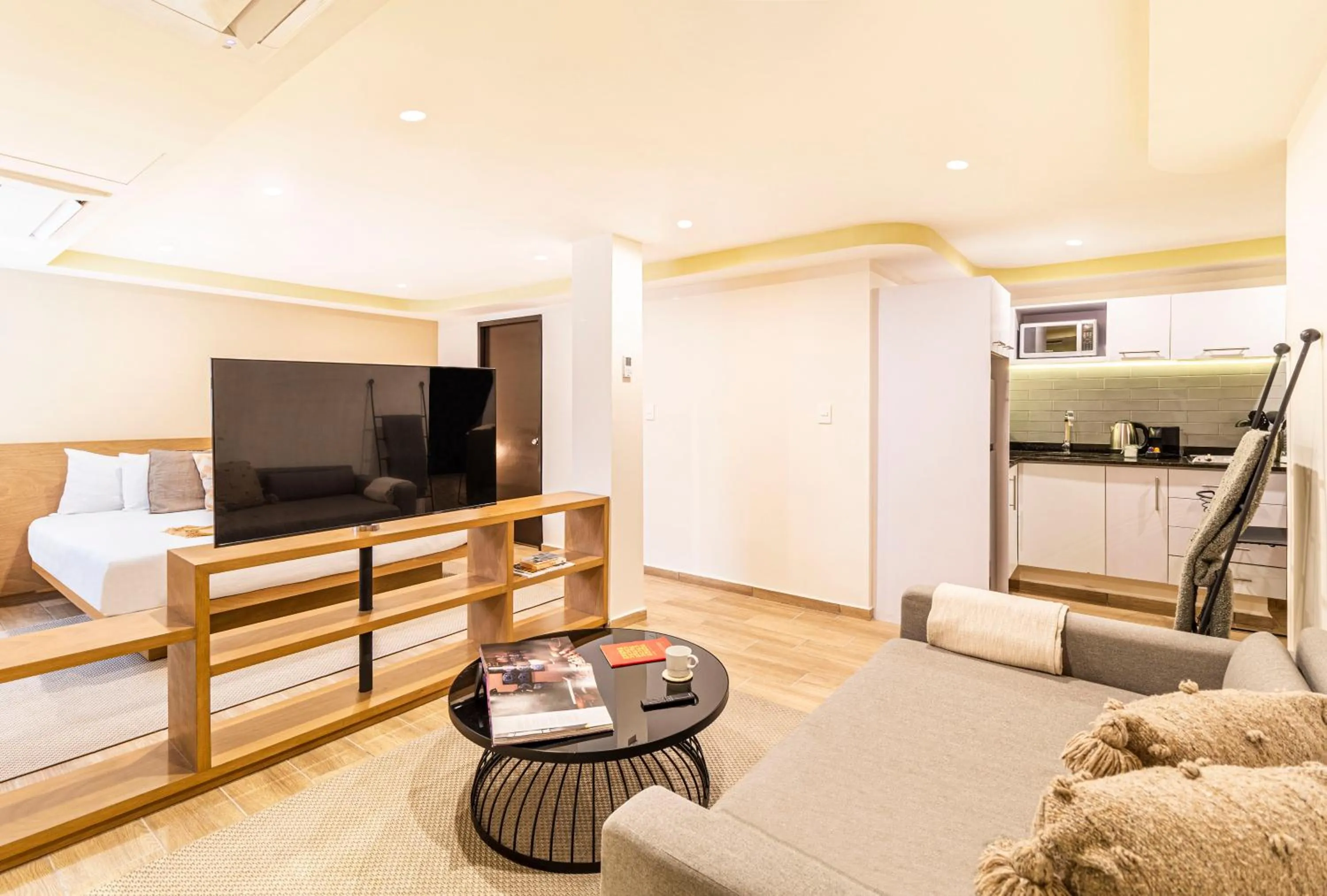 Communal lounge/ TV room in Grand Chapultepec Residencial