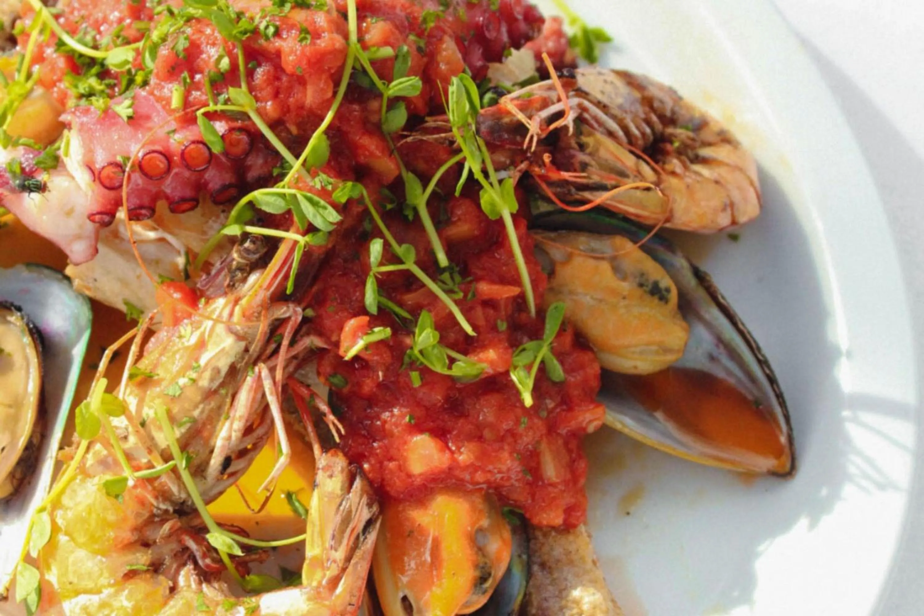 Restaurant/places to eat in Corallium Hotel & Villas Bonaire