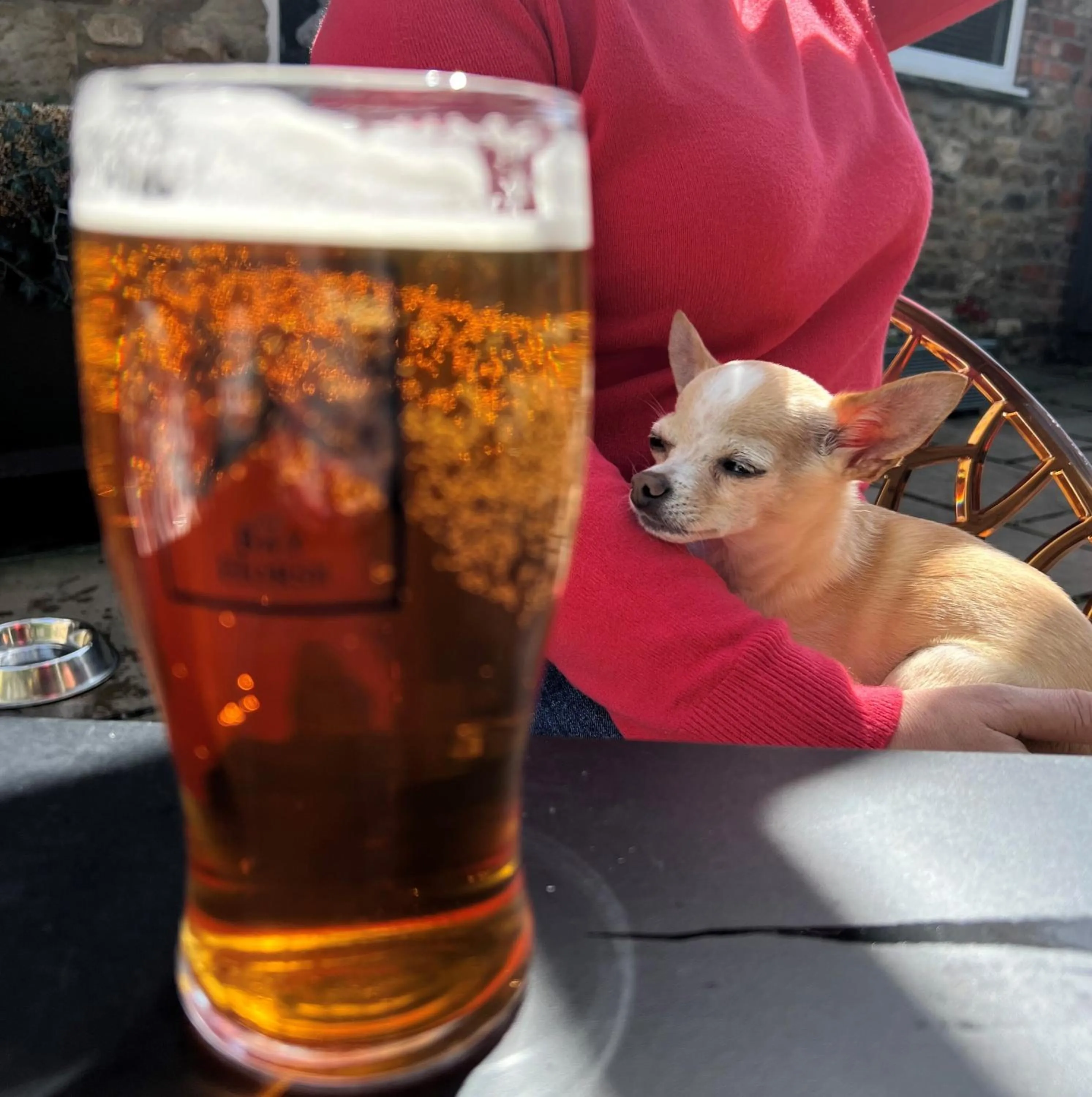 The Bay Horse, Masham