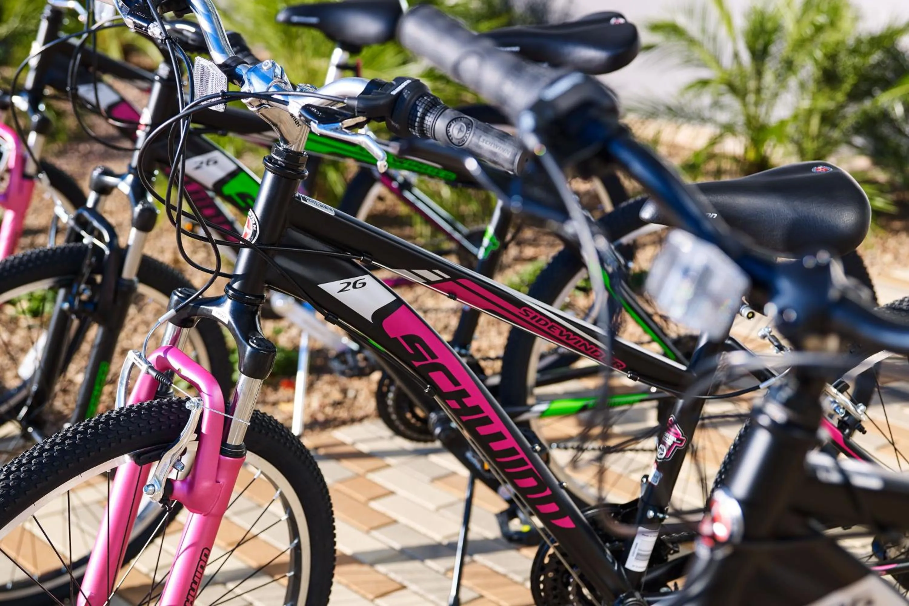 Other in Element Chandler Fashion Center