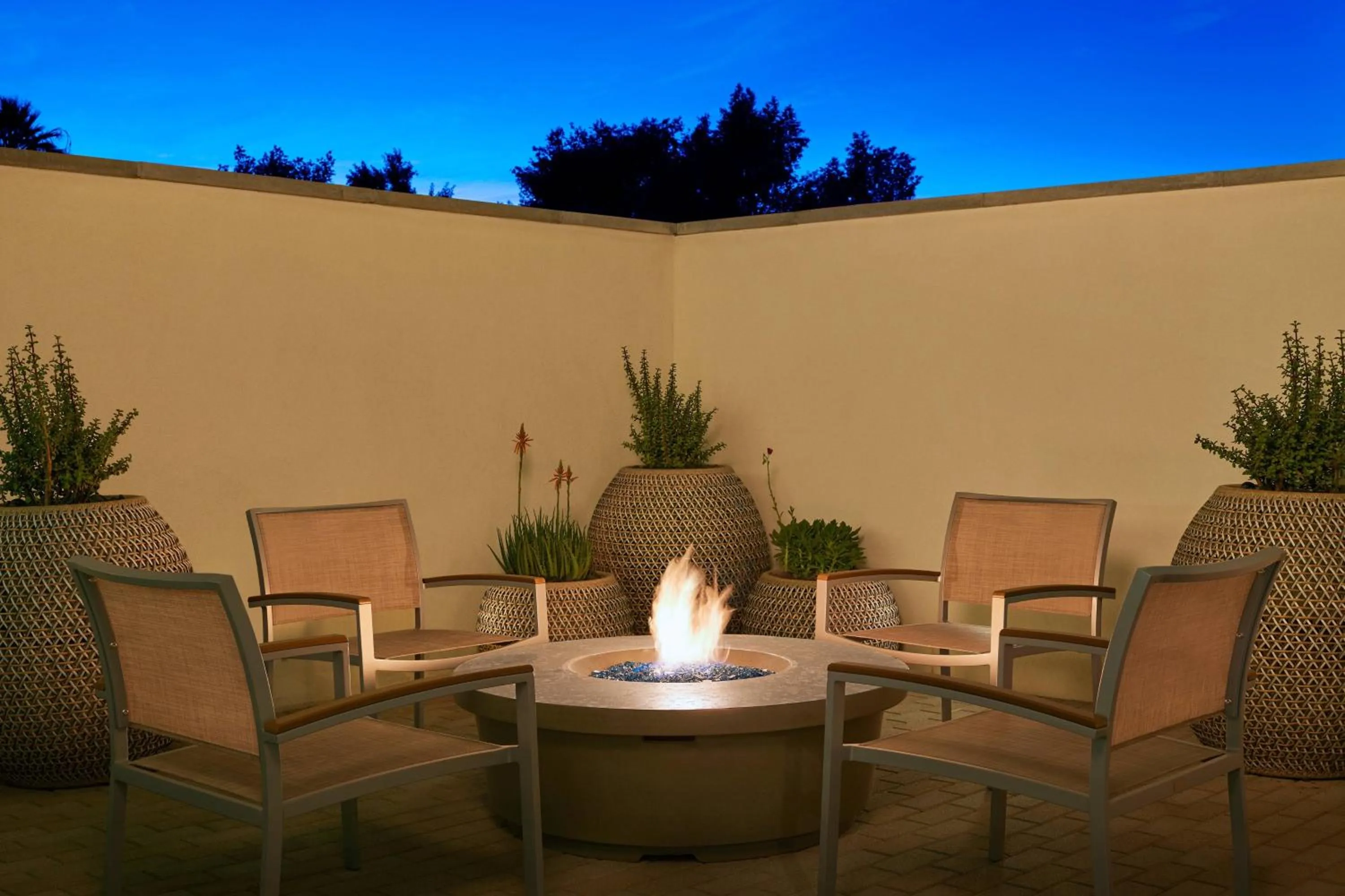 Other in Element Chandler Fashion Center