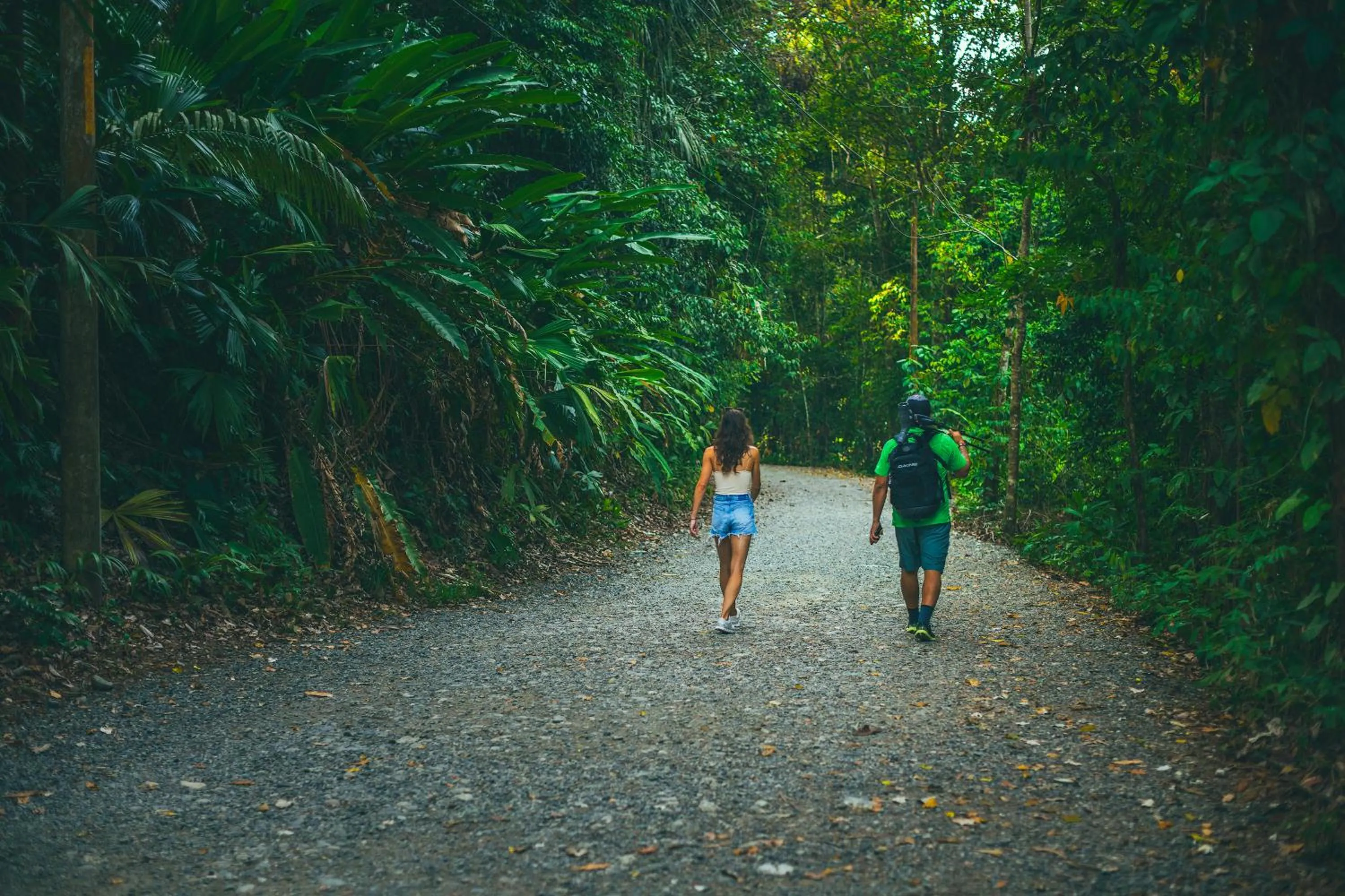 Natural landscape in Jungle Vista Boutique Hotel