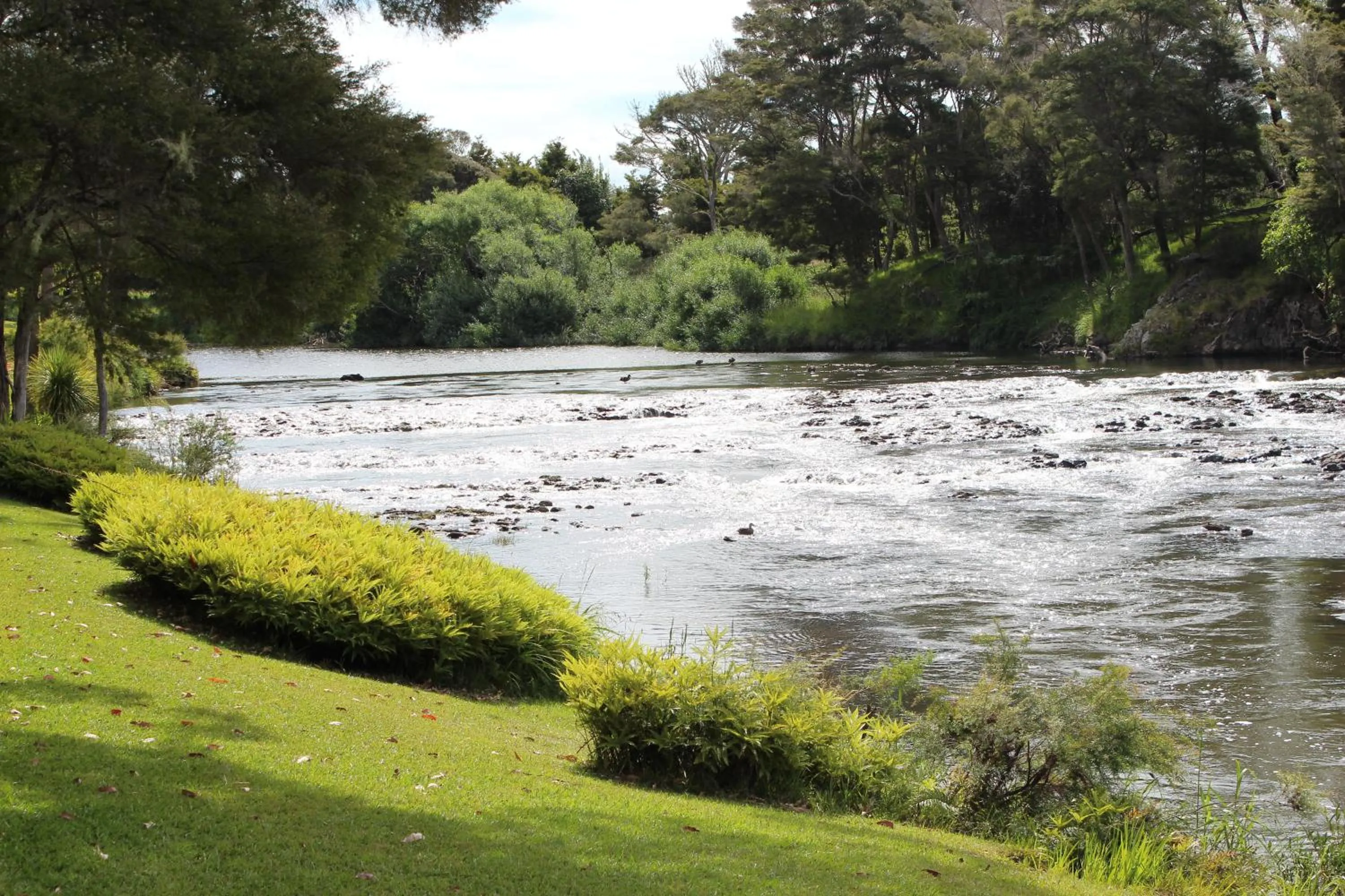 River view in Bay of Islands Holiday Park