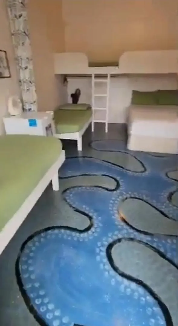 Bed in Bay of Islands Holiday Park