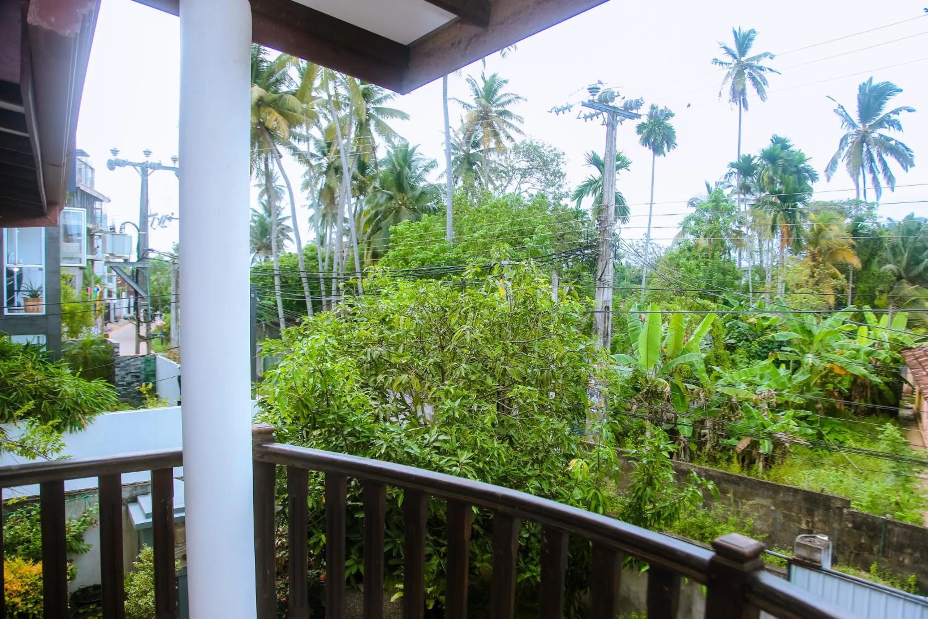 View (from property/room) in Brave resort Mirissa