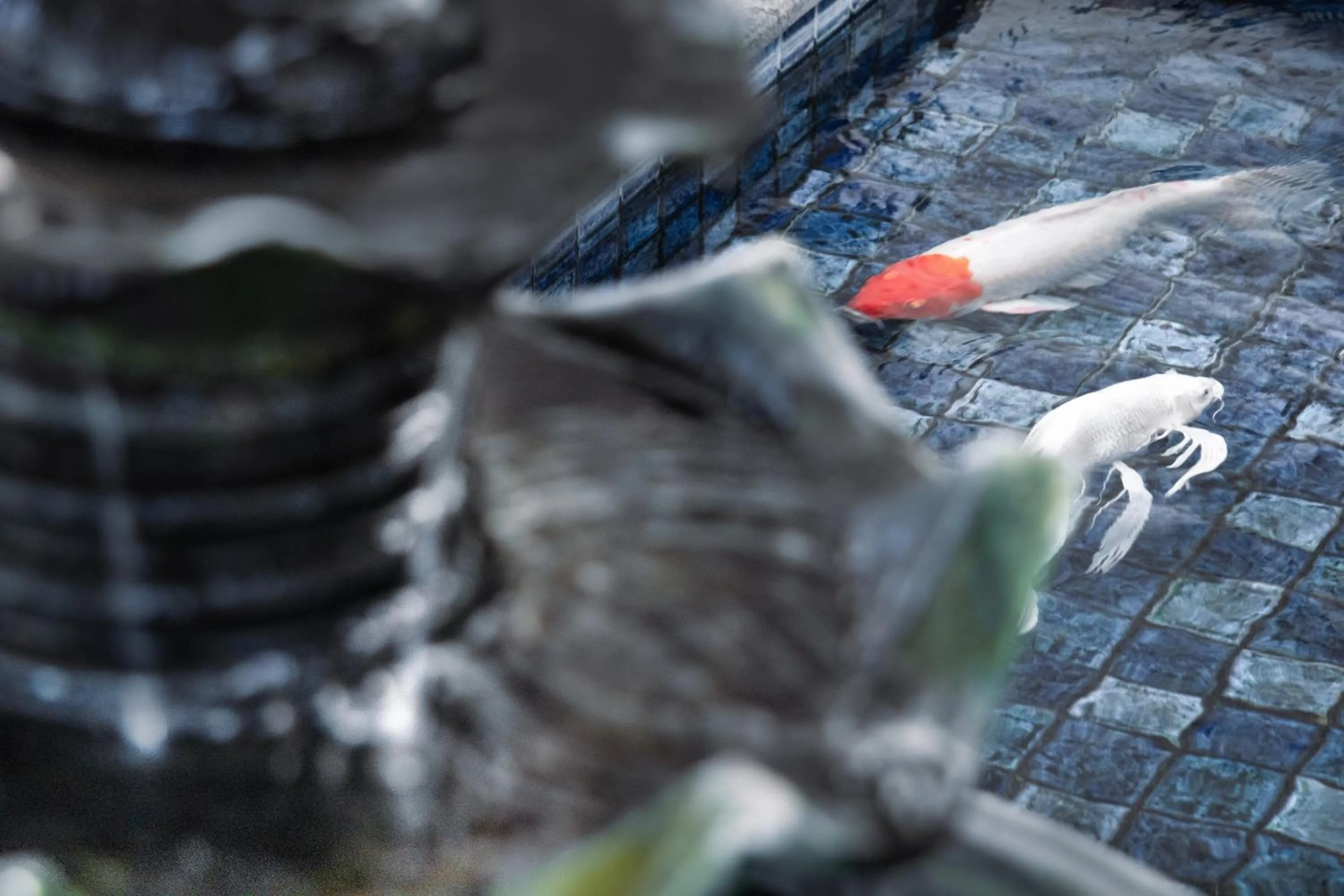 Lobby or reception in Best Western Plus Coco Palu