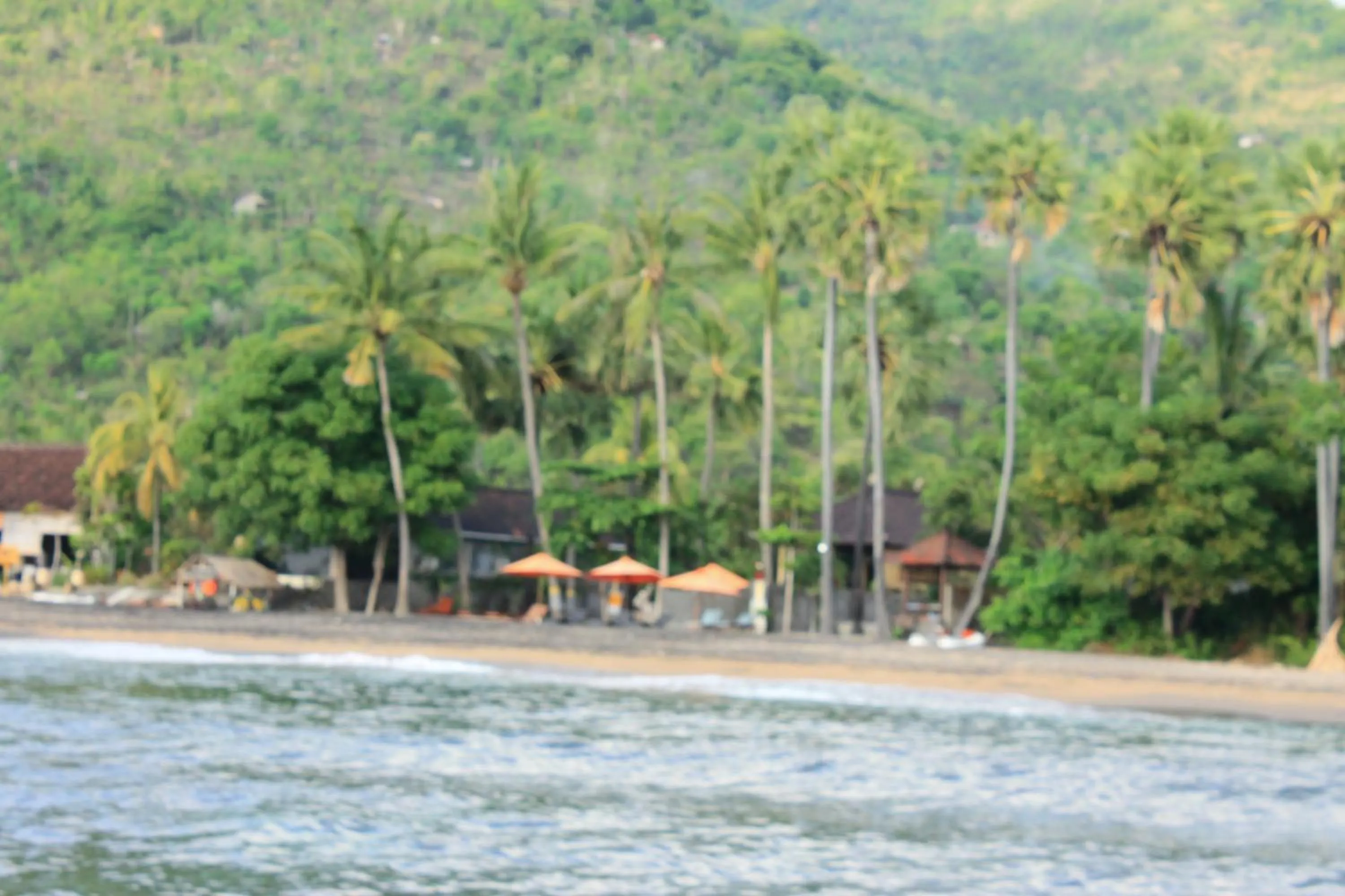 Natural landscape in Bintang Beach Villa