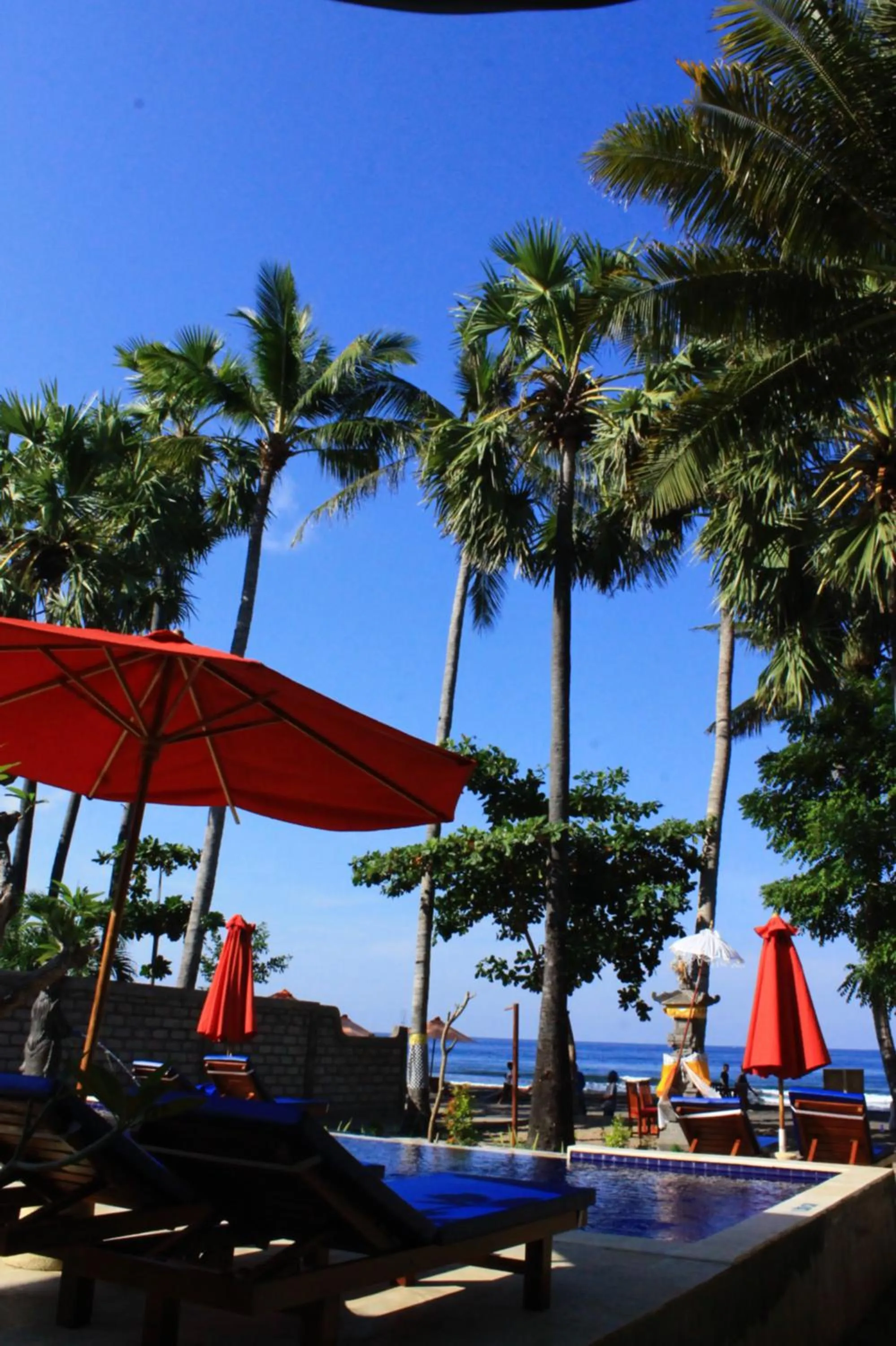 Swimming pool in Bintang Beach Villa