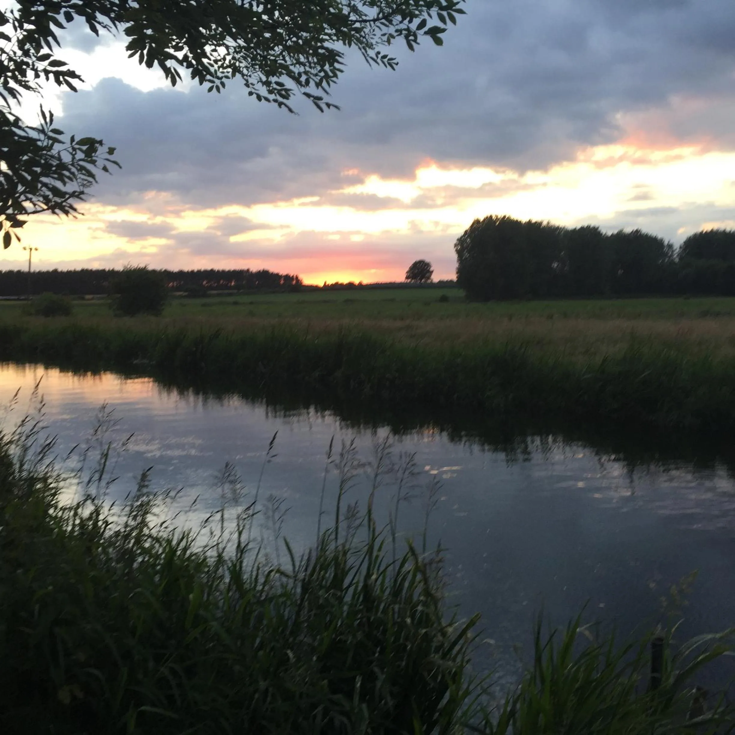 River view in Riverside House