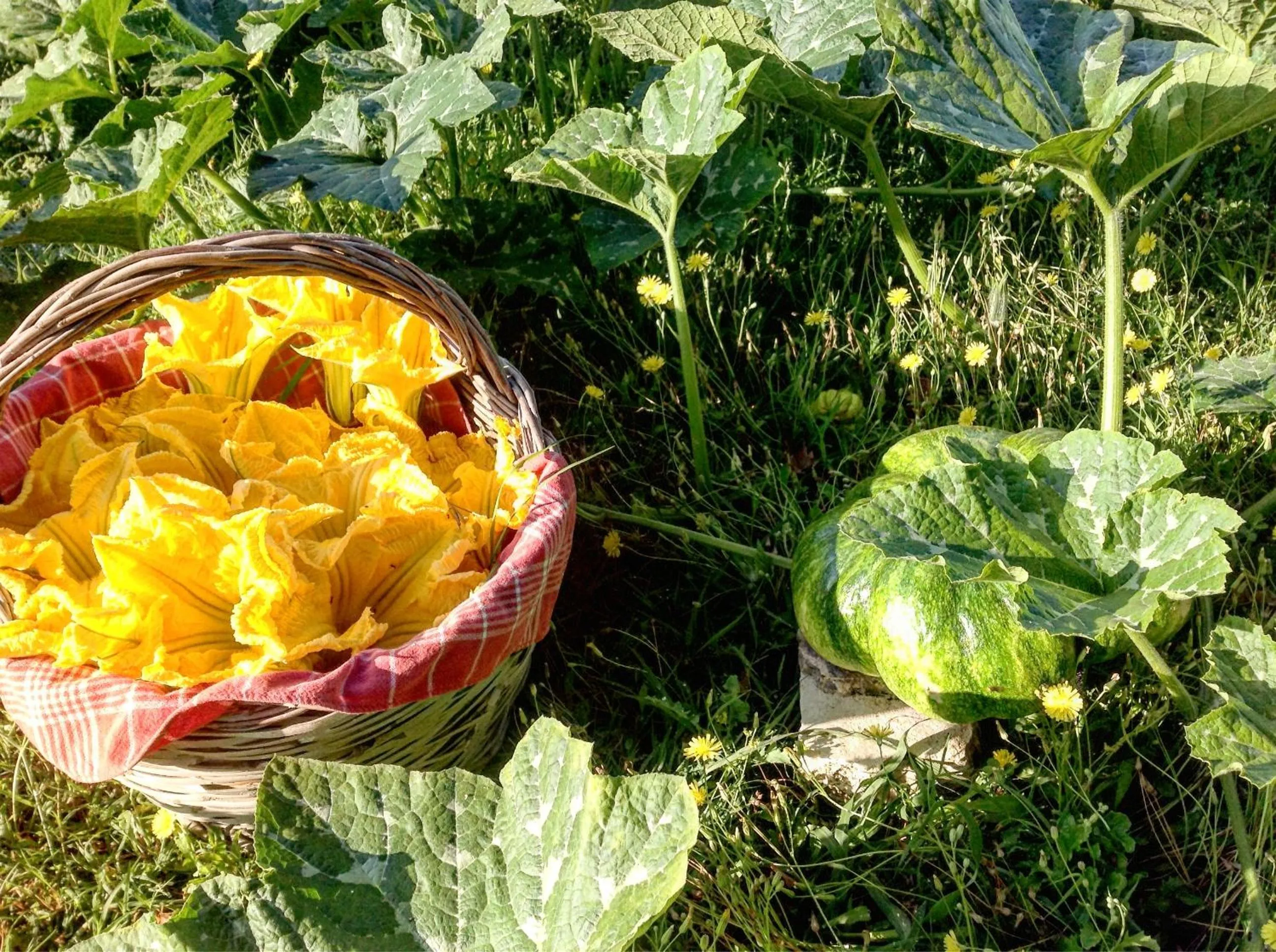 Property building in B&B da Odila