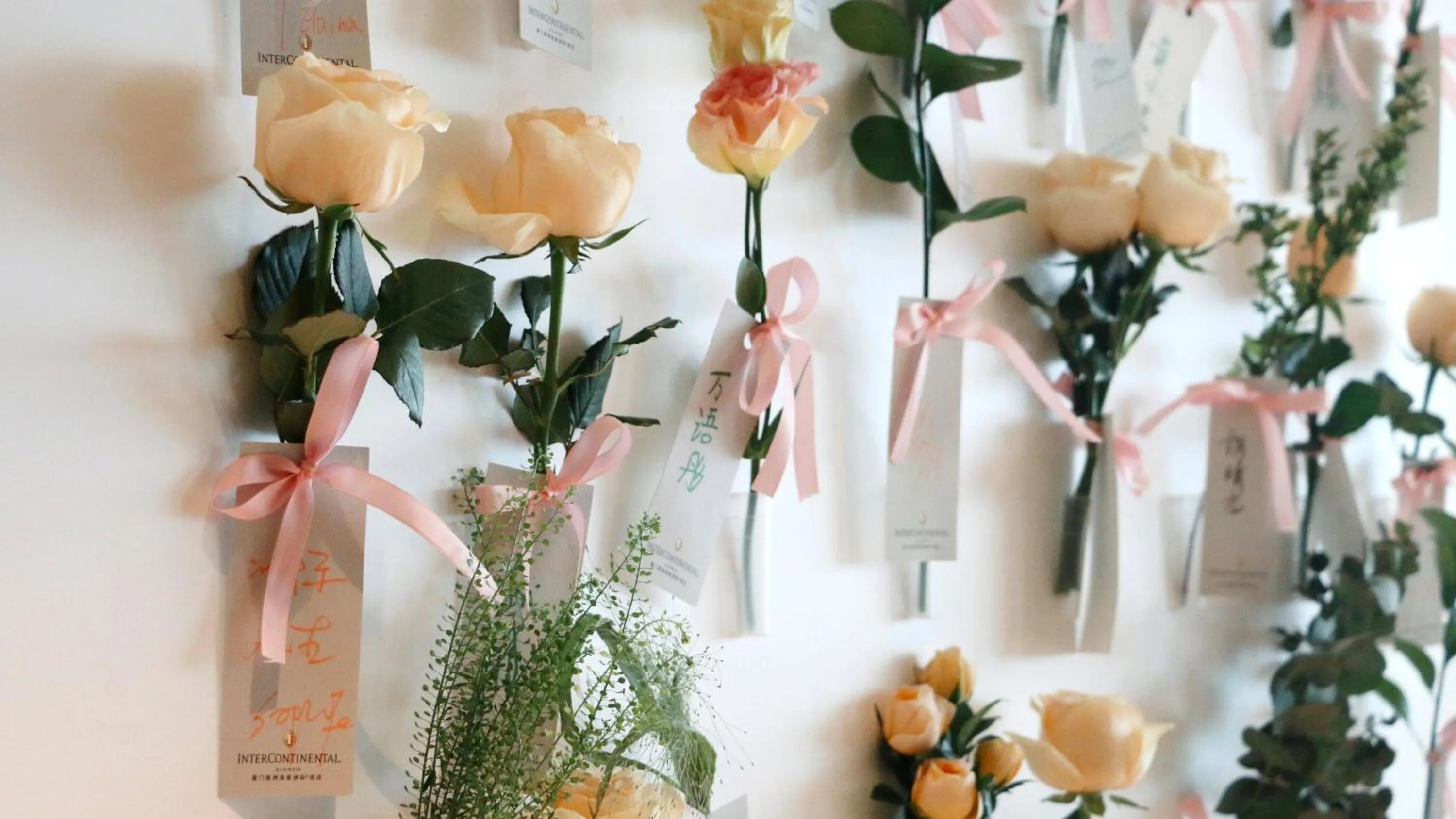 Other in InterContinental Xiamen by IHG