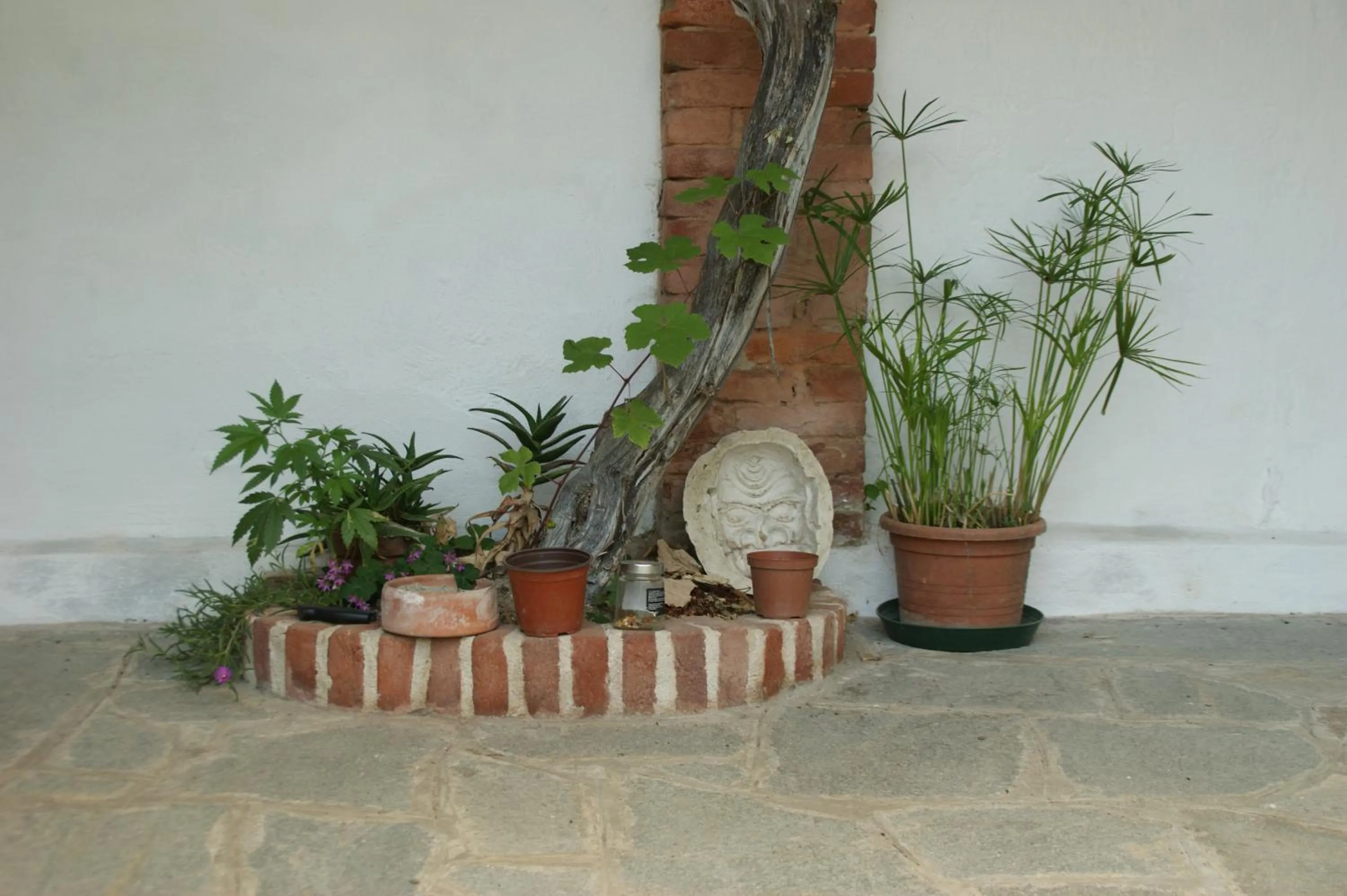 Garden in Villa Maddalena