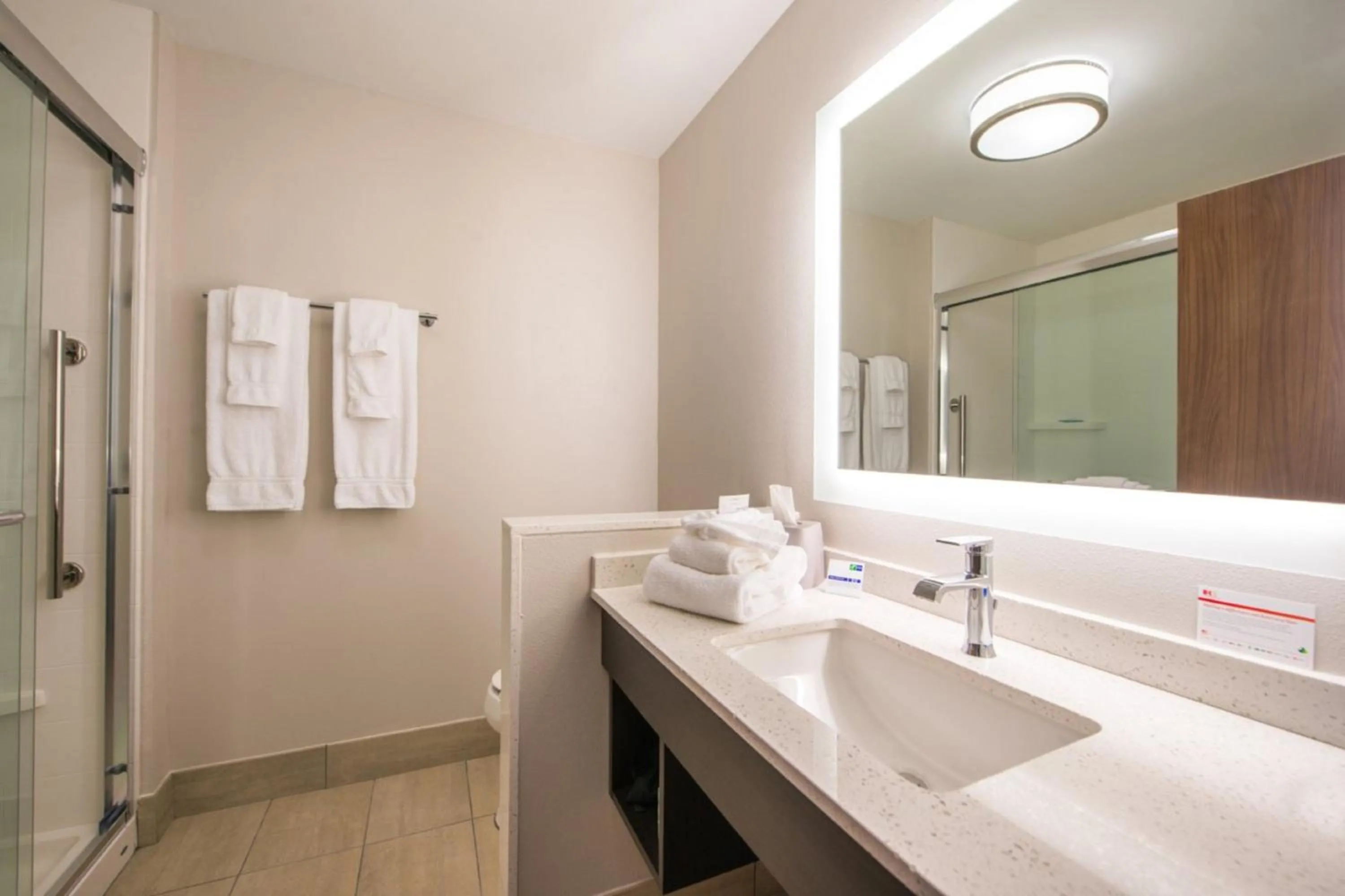 Bathroom in Holiday Inn Express & Suites - Tampa North - Wesley Chapel by IHG