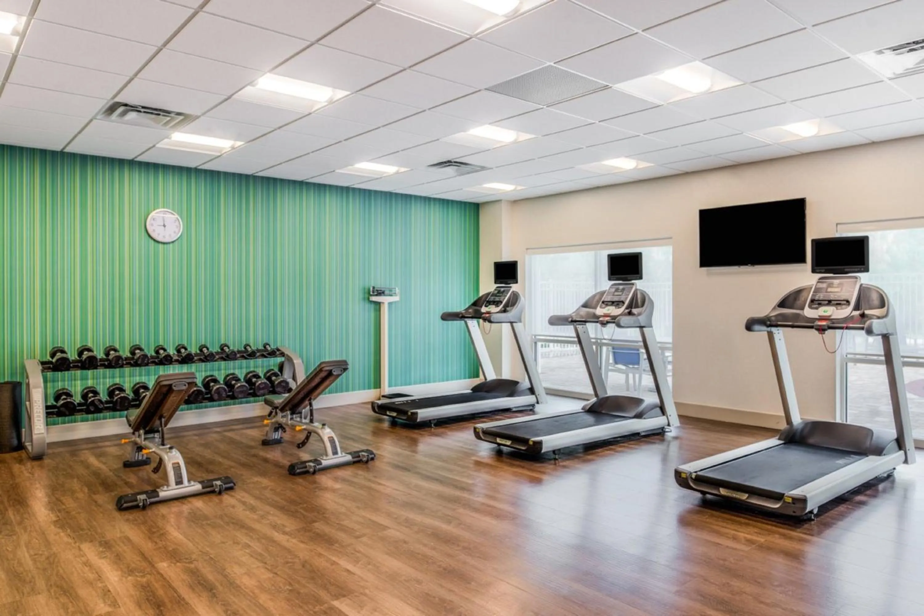 Fitness centre/facilities in Holiday Inn Express & Suites - Tampa North - Wesley Chapel by IHG