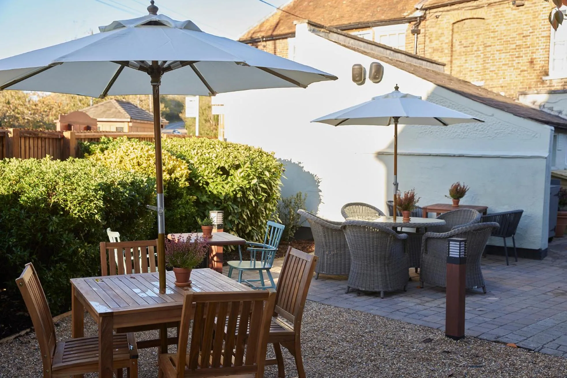 Feathers by Chef & Brewer Collection