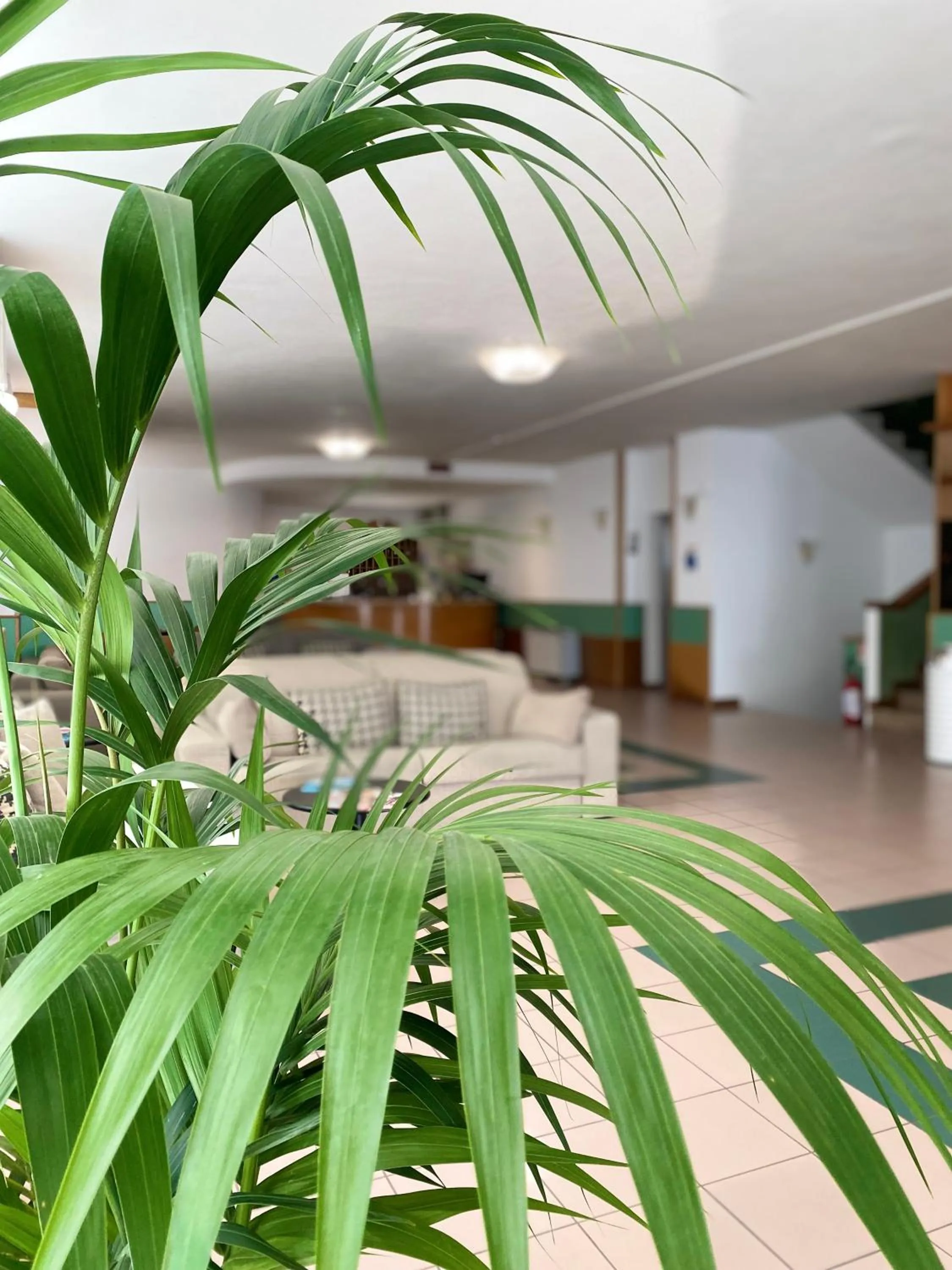 Food close-up in Hotel Aiglon