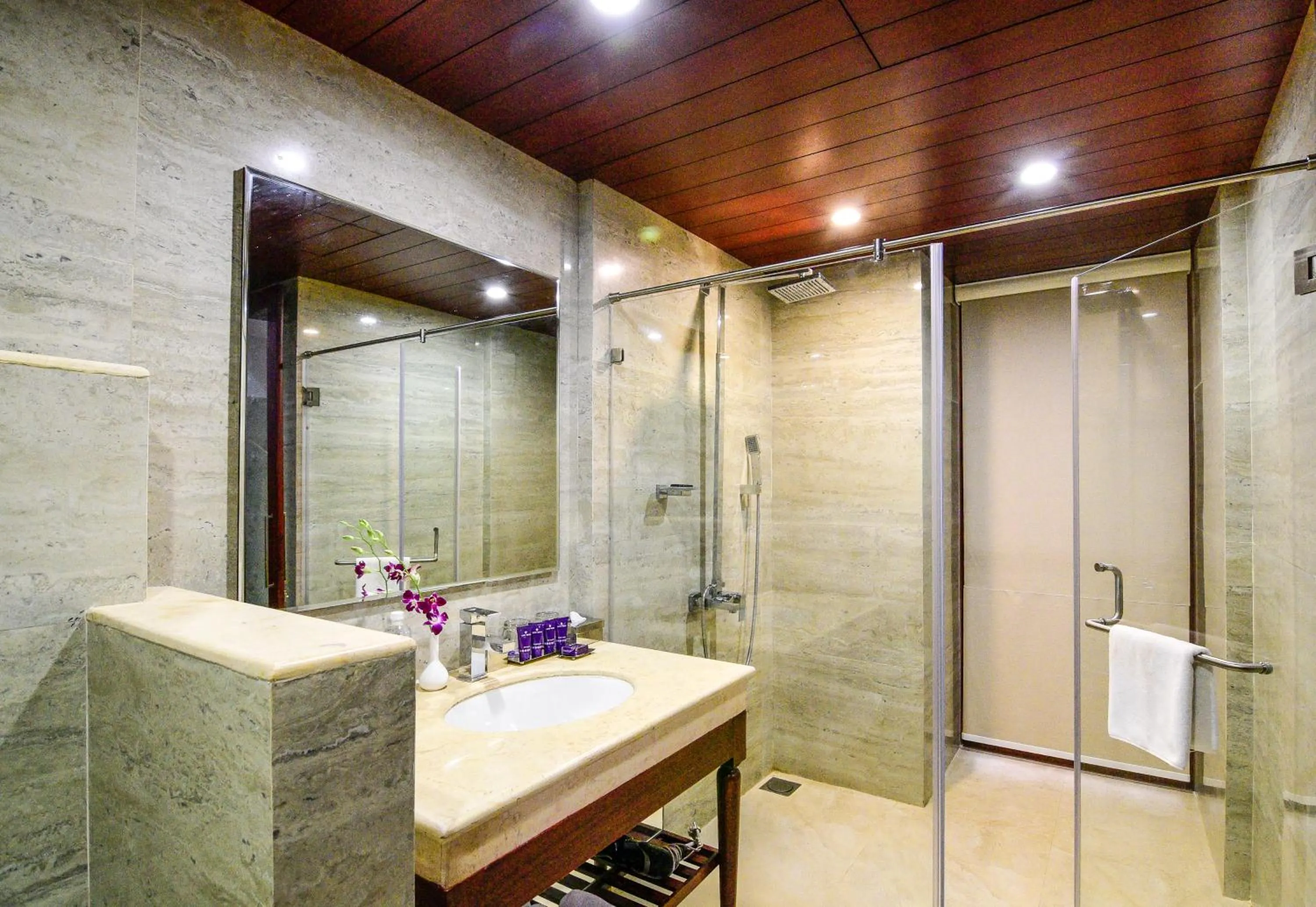 Shower in Park Regis Goa