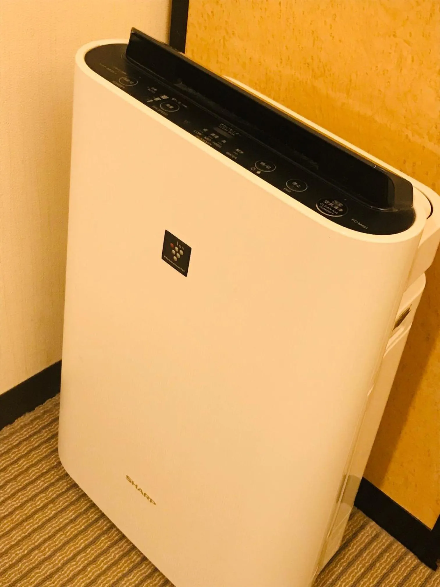 Photo of the whole room in The Celecton Fukushima