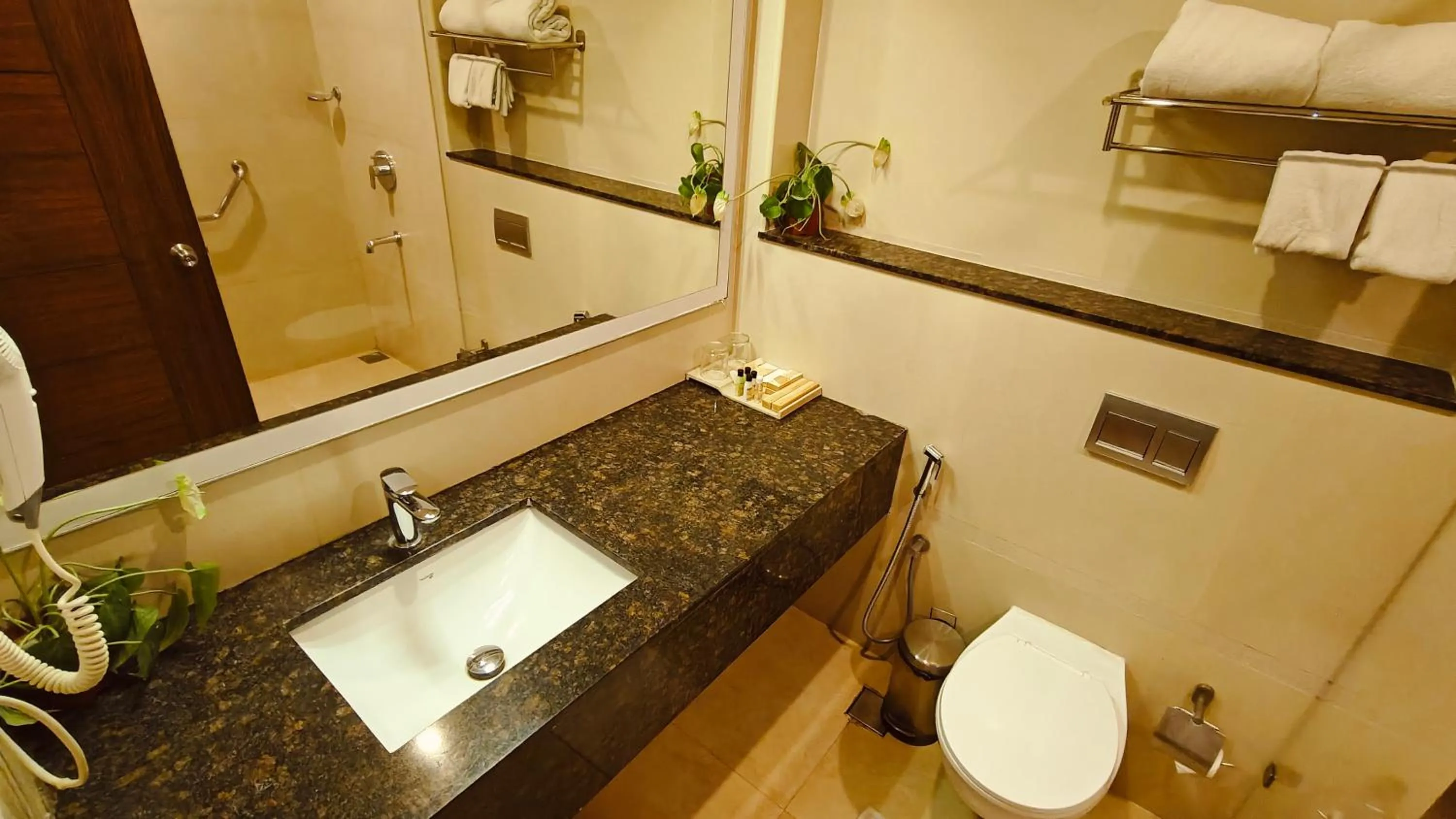 Shower in Khanna Fiesta - A Bergamont Hotel, Vellore