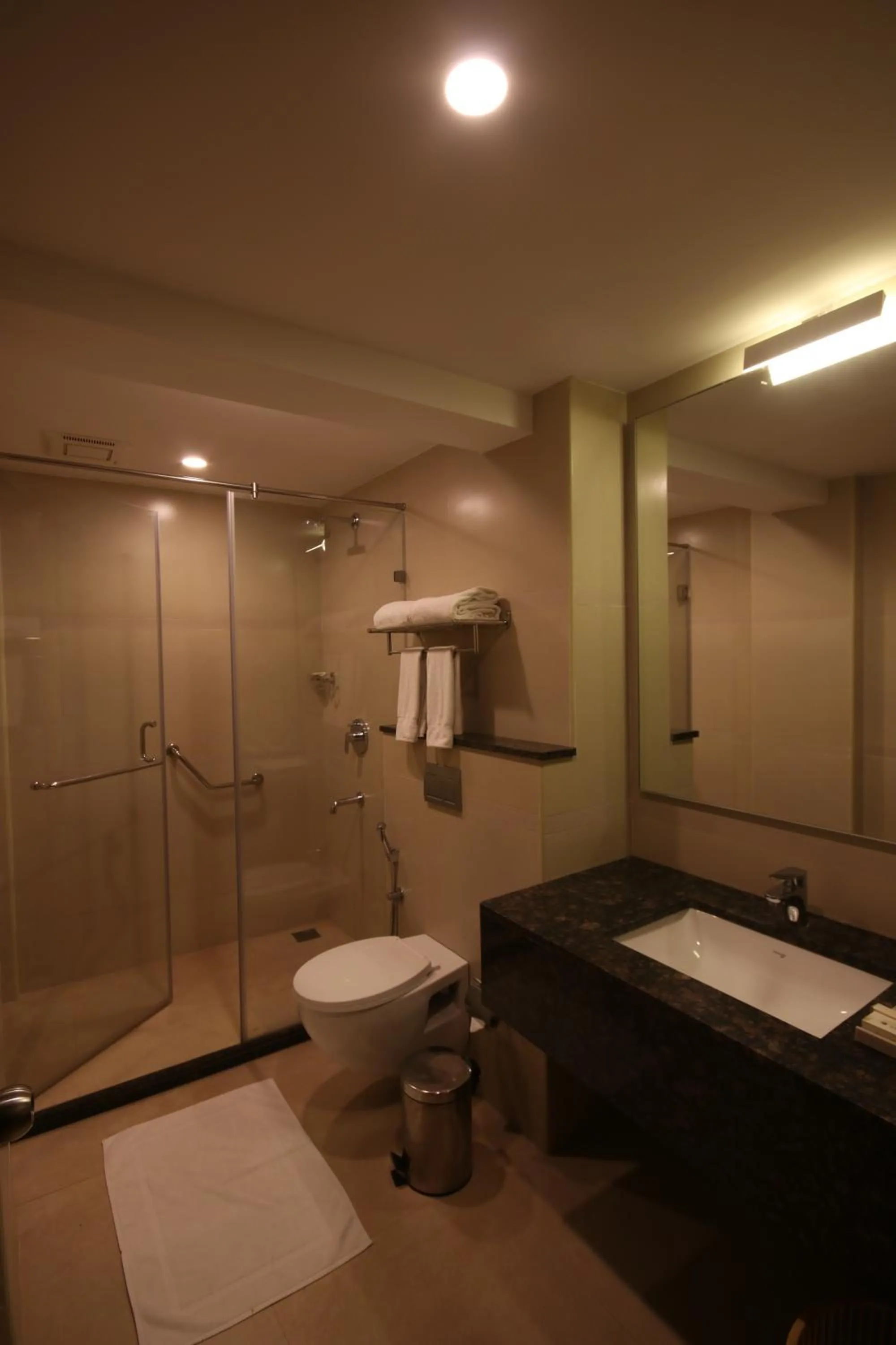 Shower in Khanna Fiesta - A Bergamont Hotel, Vellore