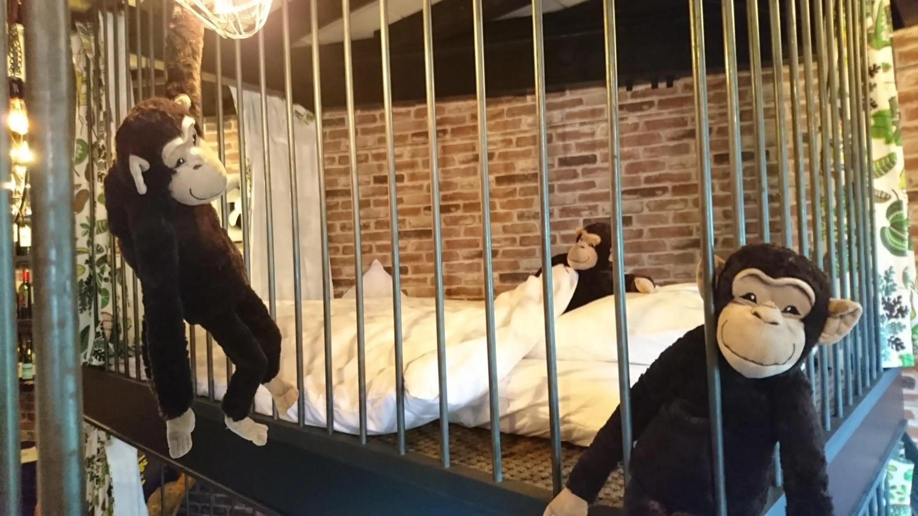 bunk bed in Yadoya Lodge